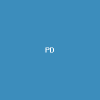 Prithvi Dandin