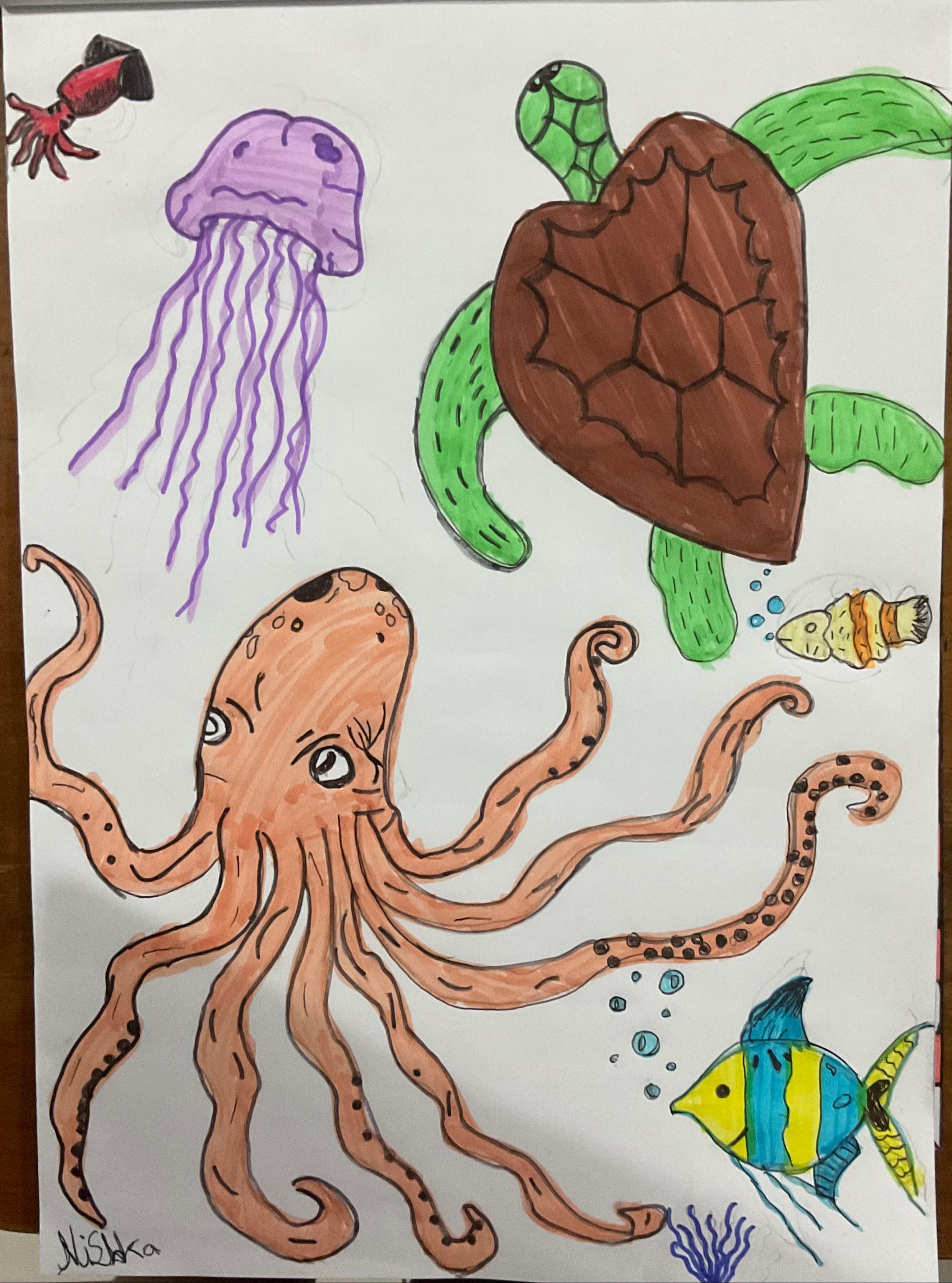 Ocean Wonders 