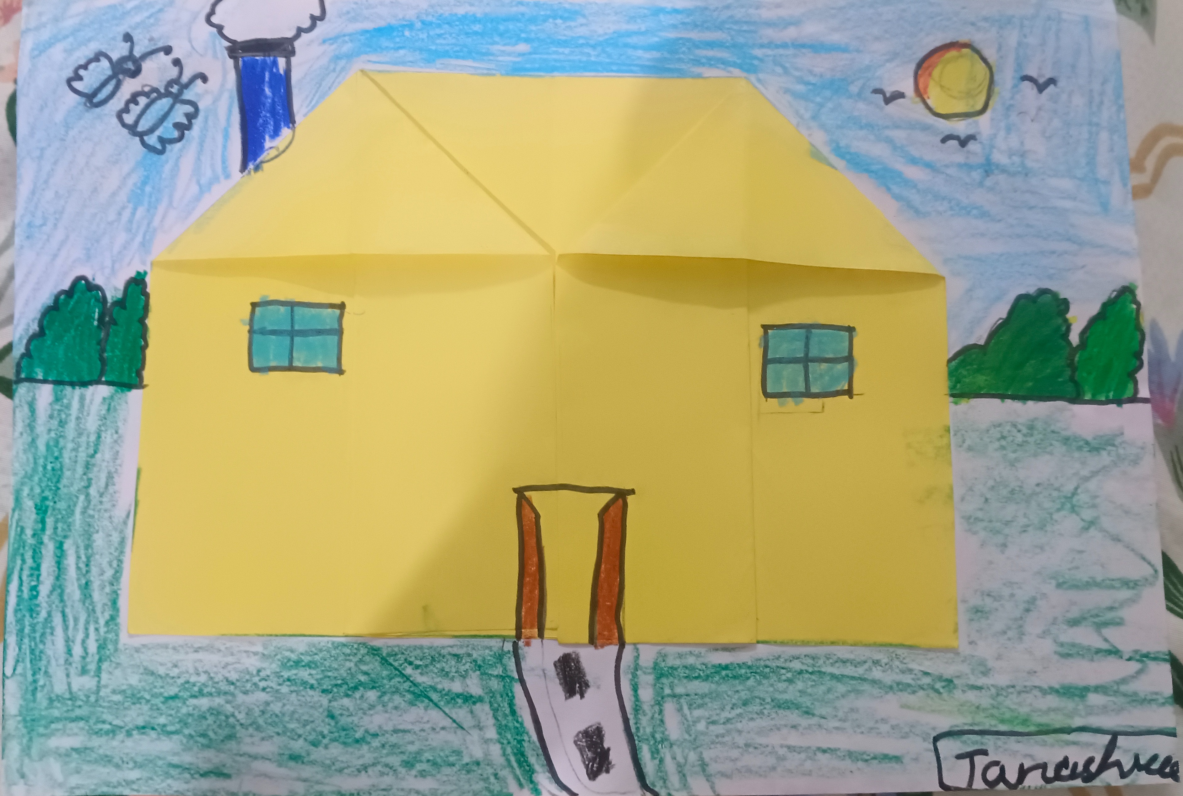 Tanashvee's art work 