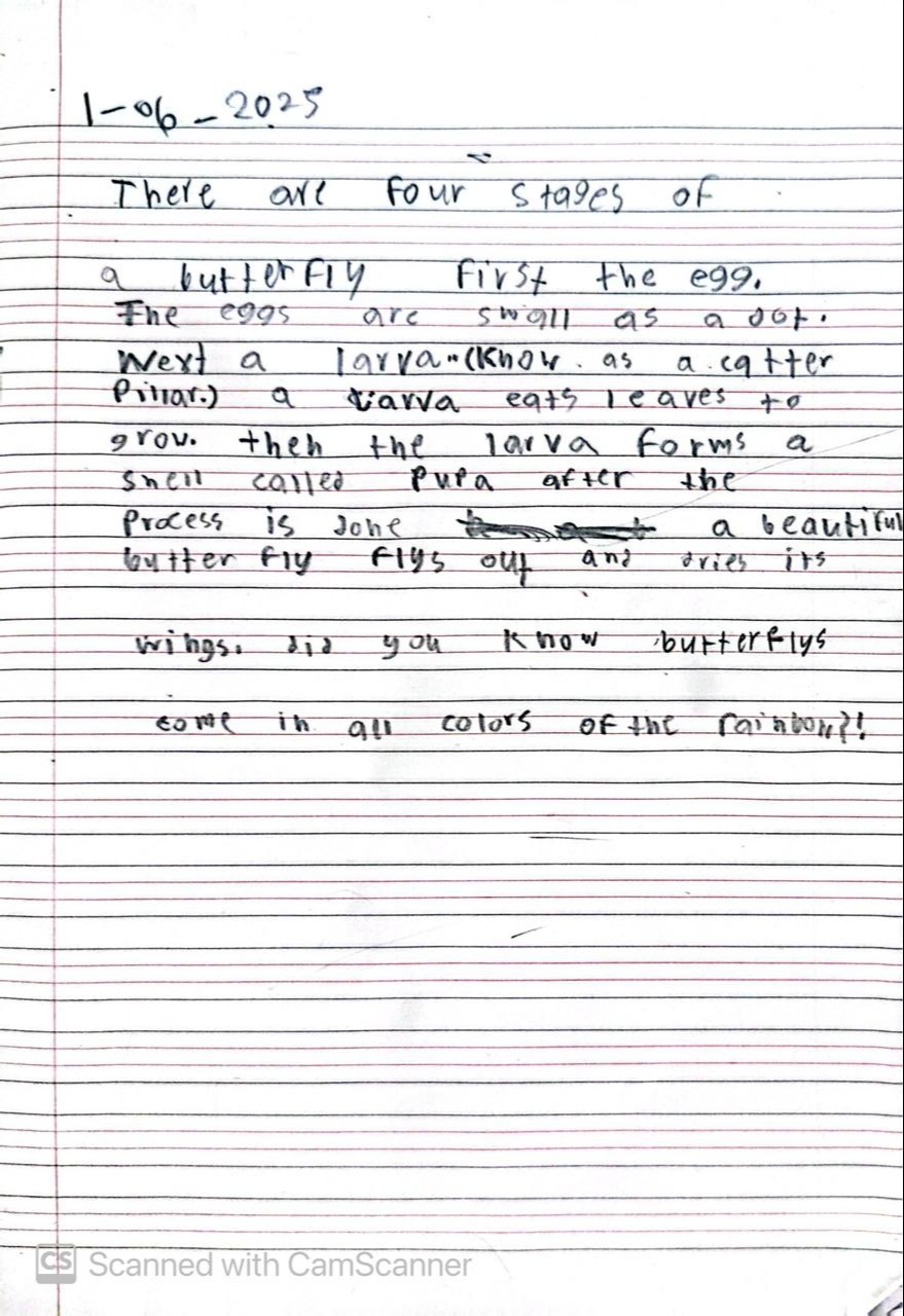 Writing about Buttefly