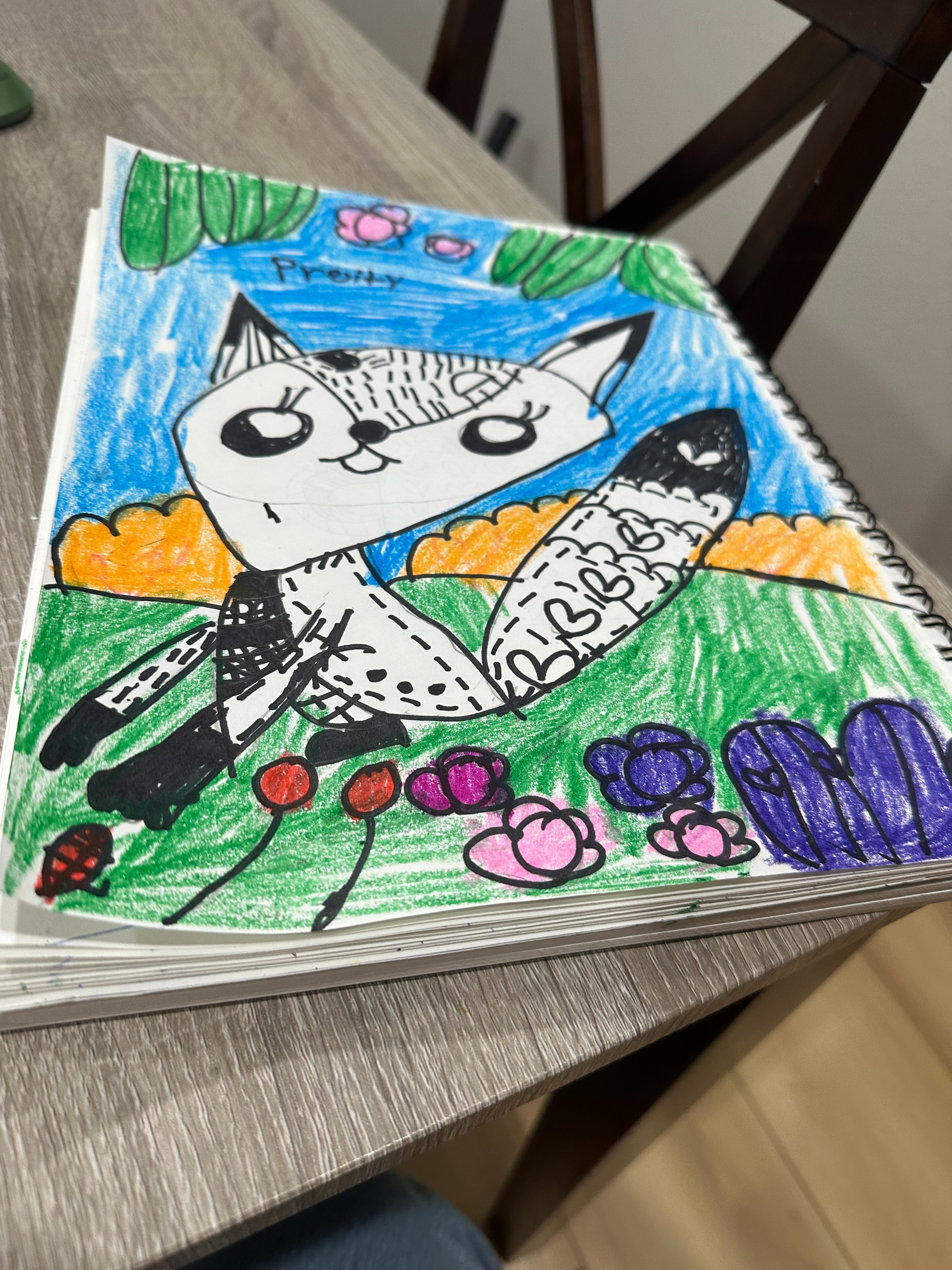 cat 