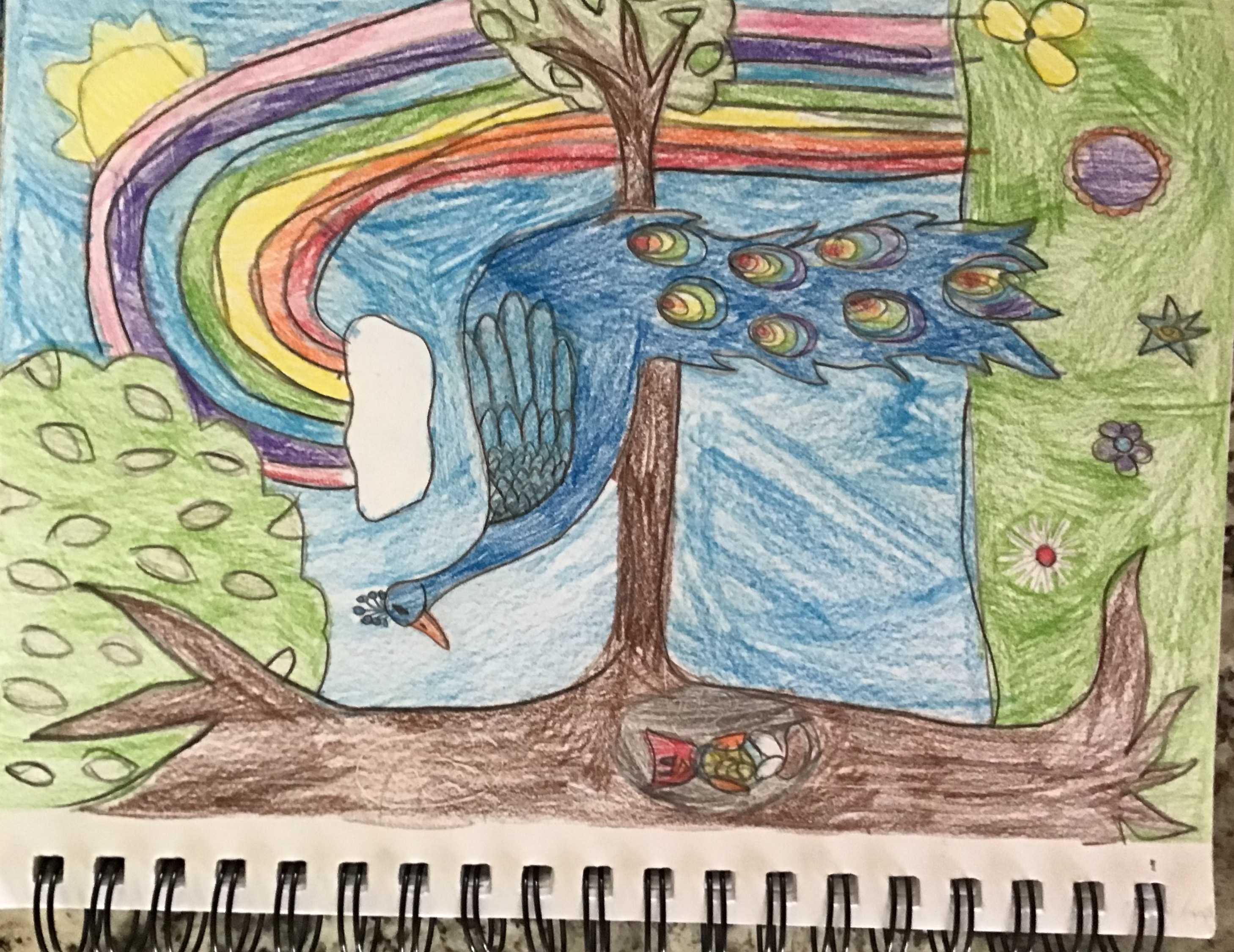 Peacock
