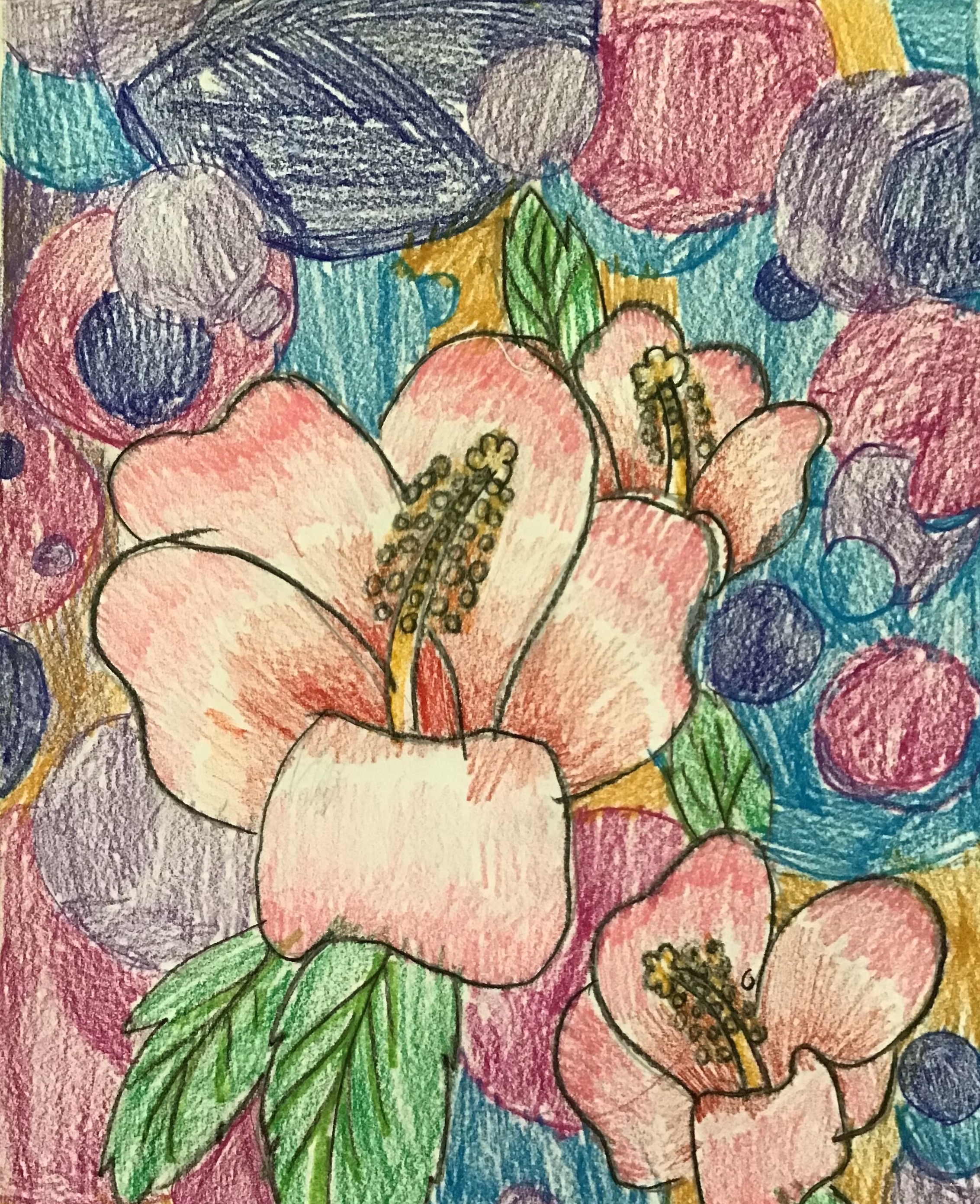 Hibiscus 
