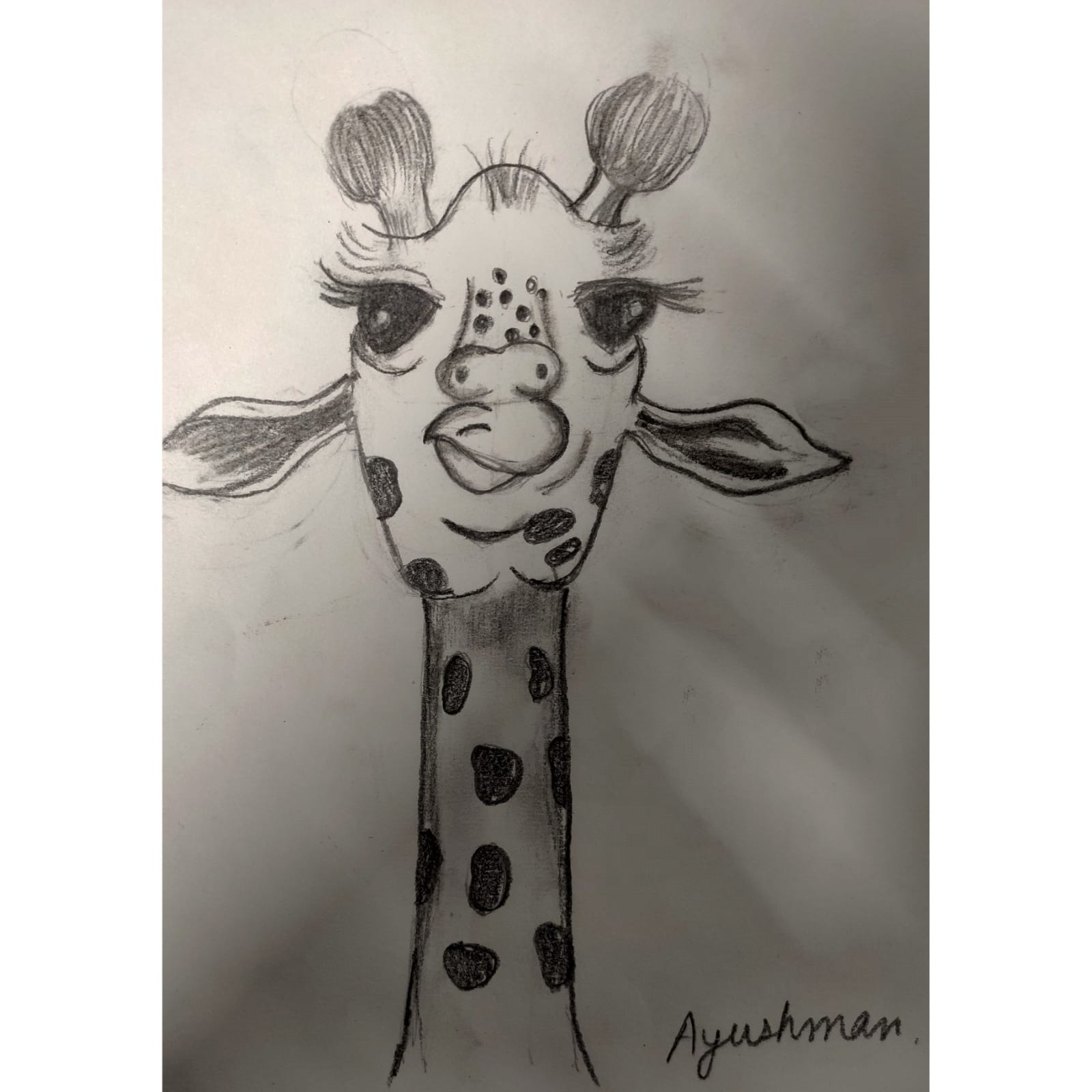 Pencil art
