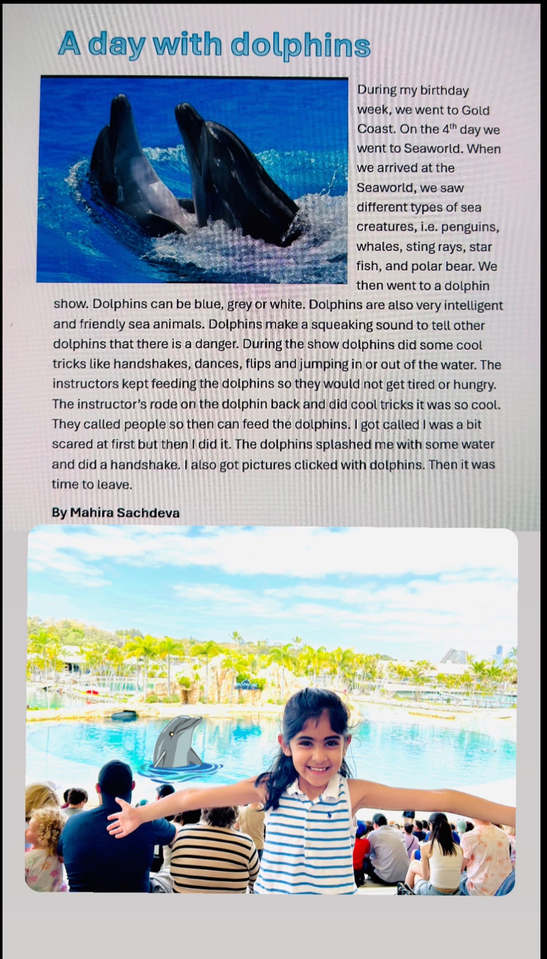 A Day with Dolphins 🐬