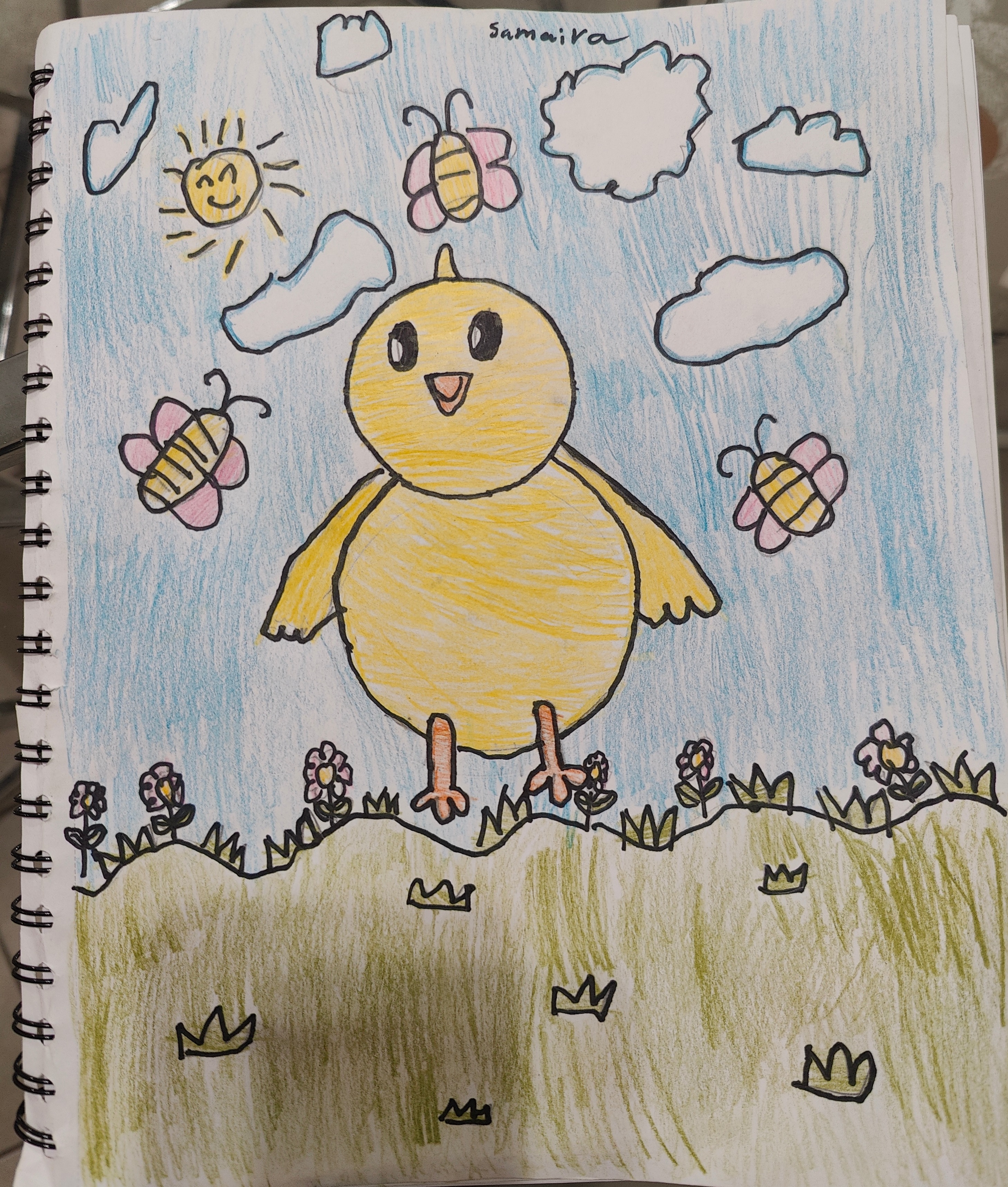 Samaira Gupta - Chick Art