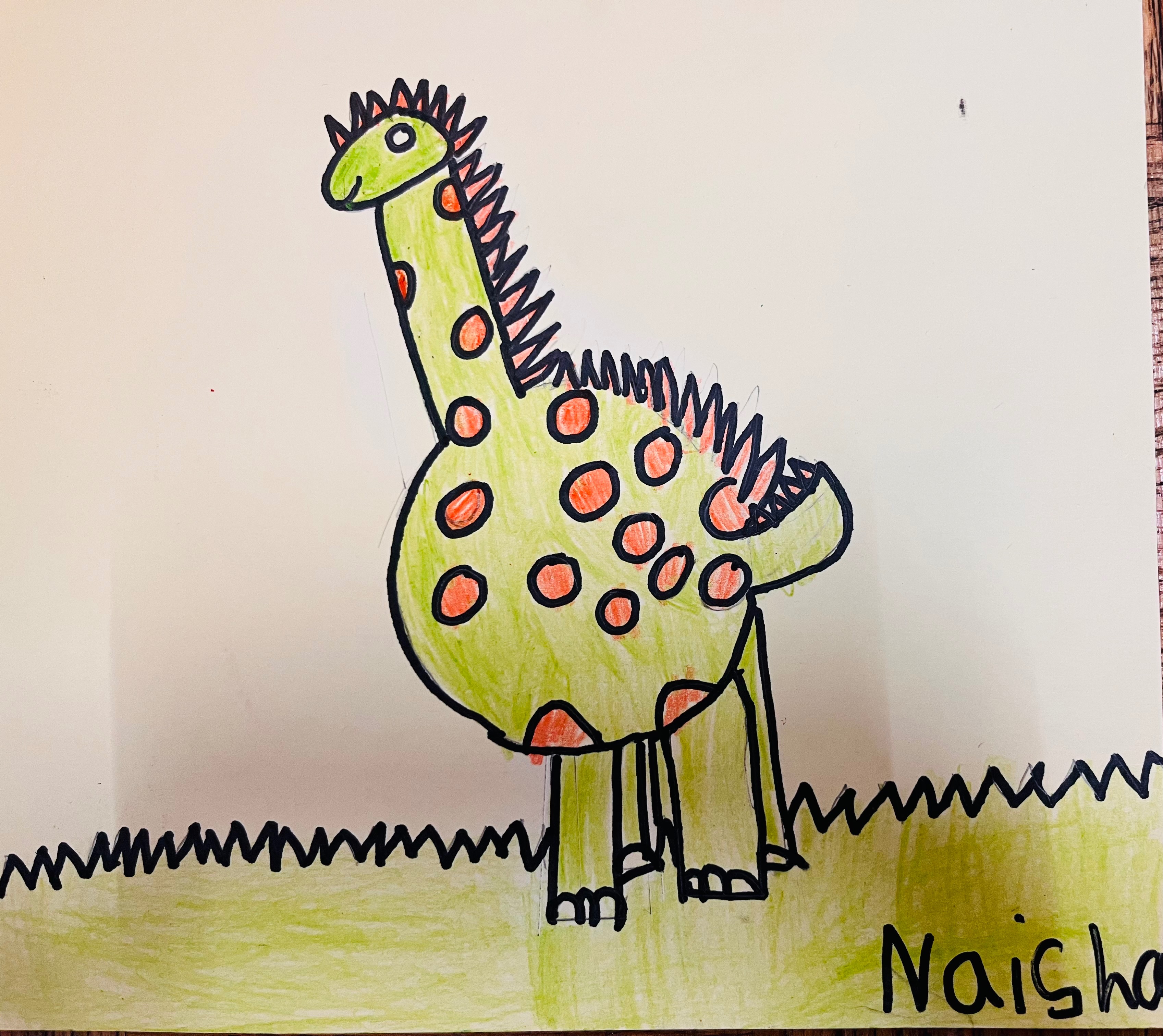 Naisha’s art