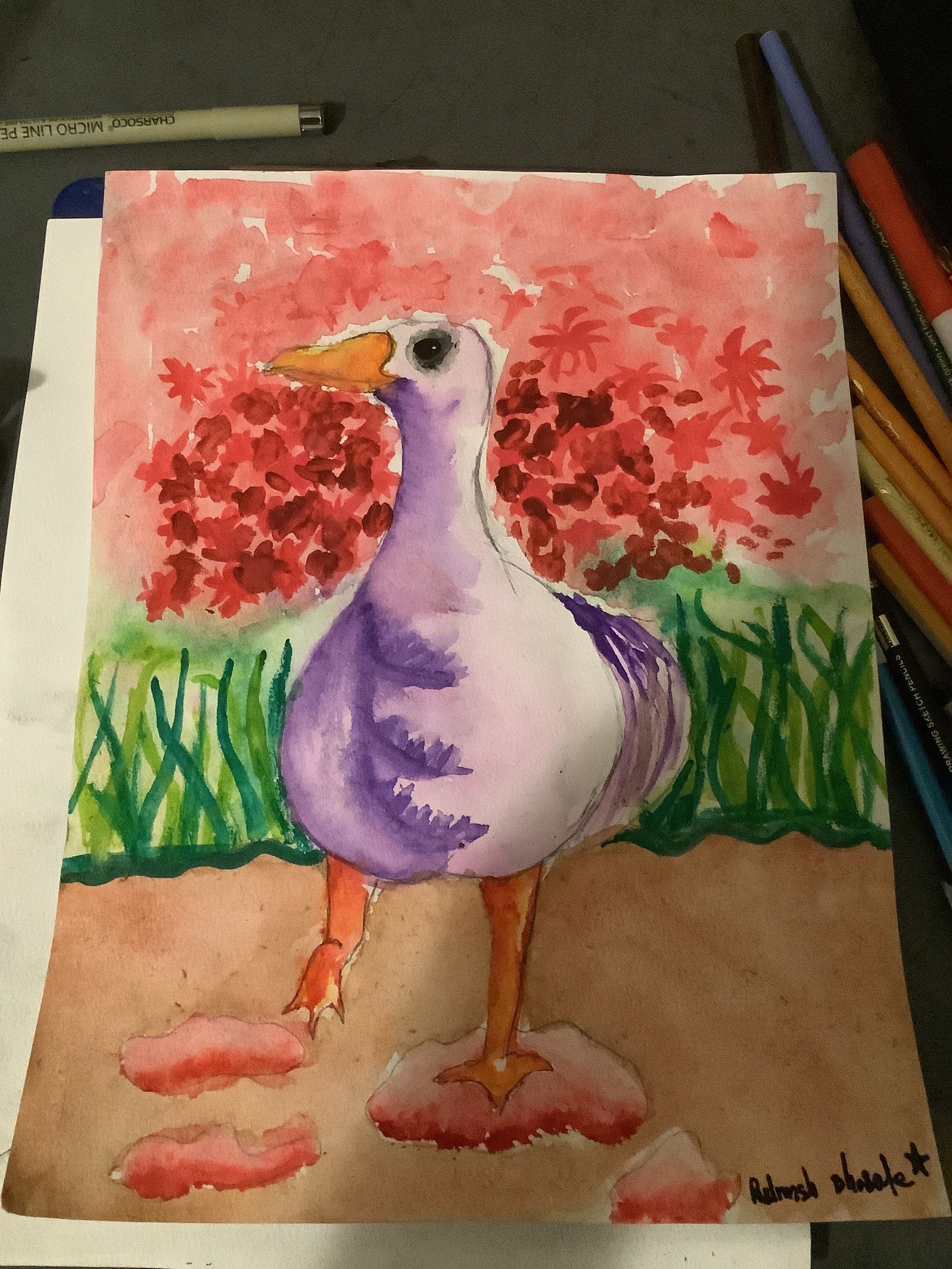 Swan
