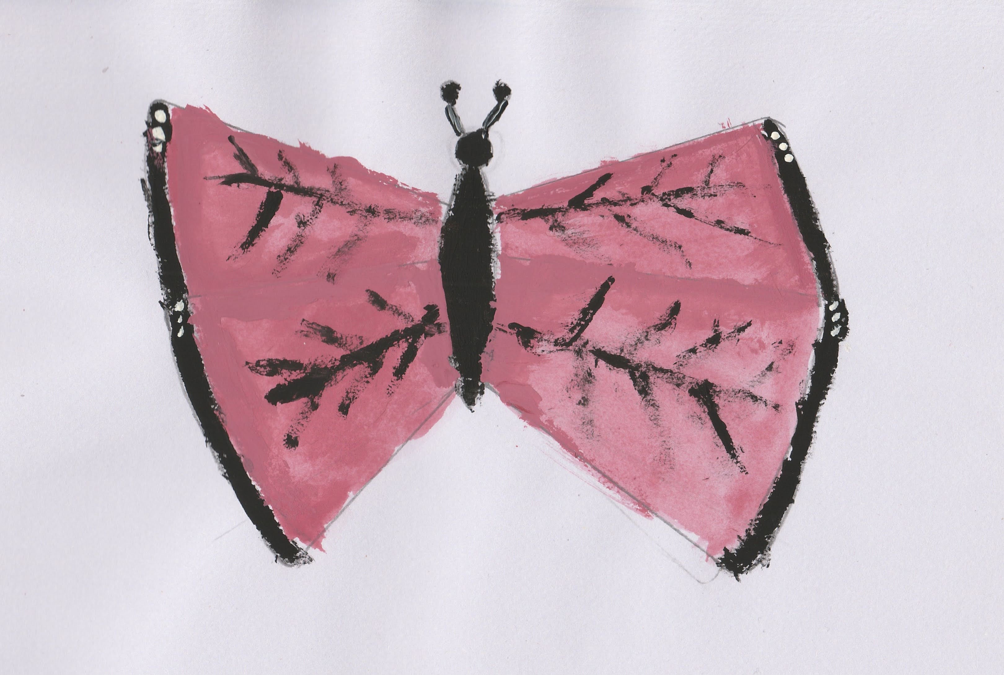 Butterfly Art