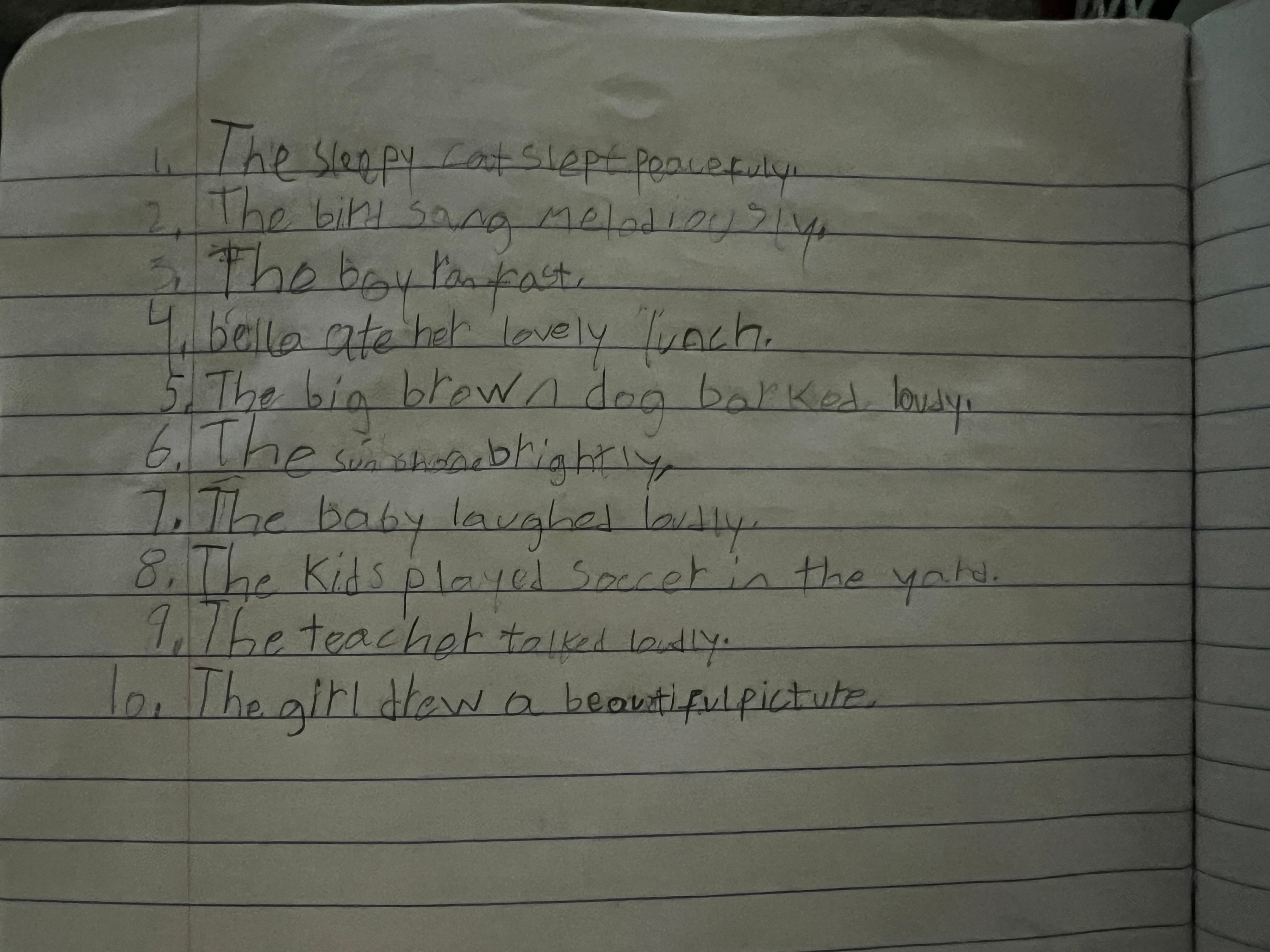 Descriptive Sentences