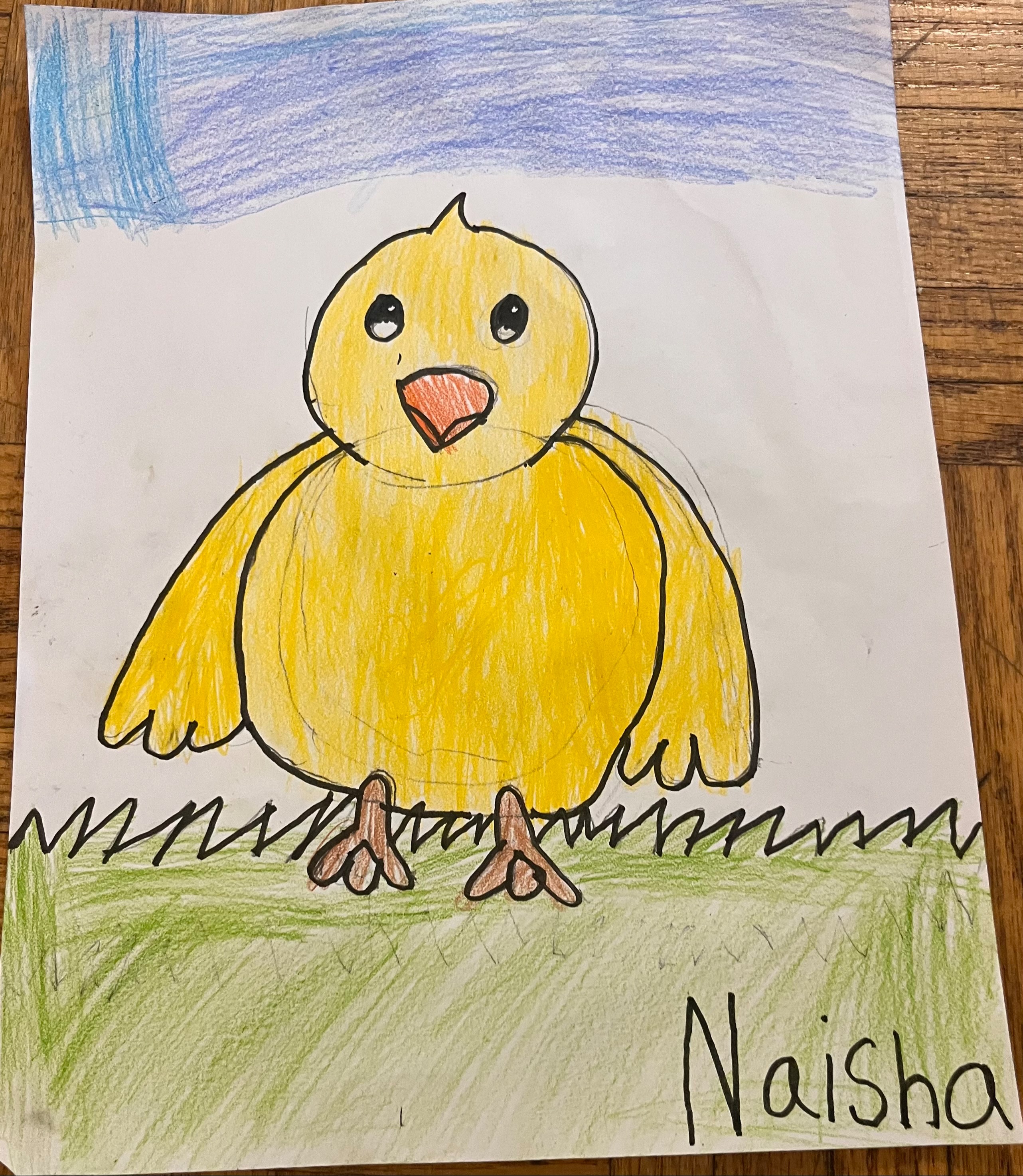 Naisha’s art