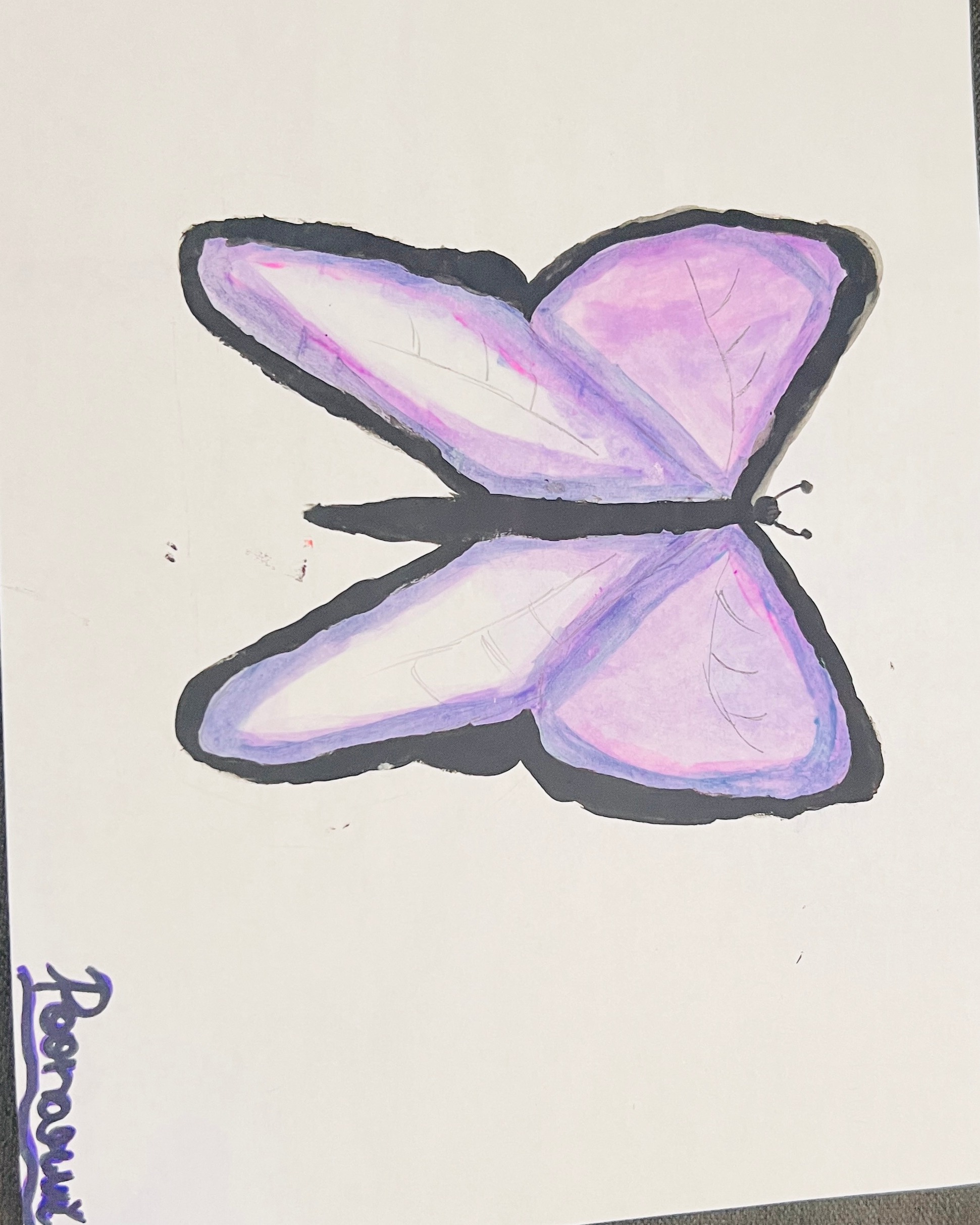 # fly by Poonarvi Vanama