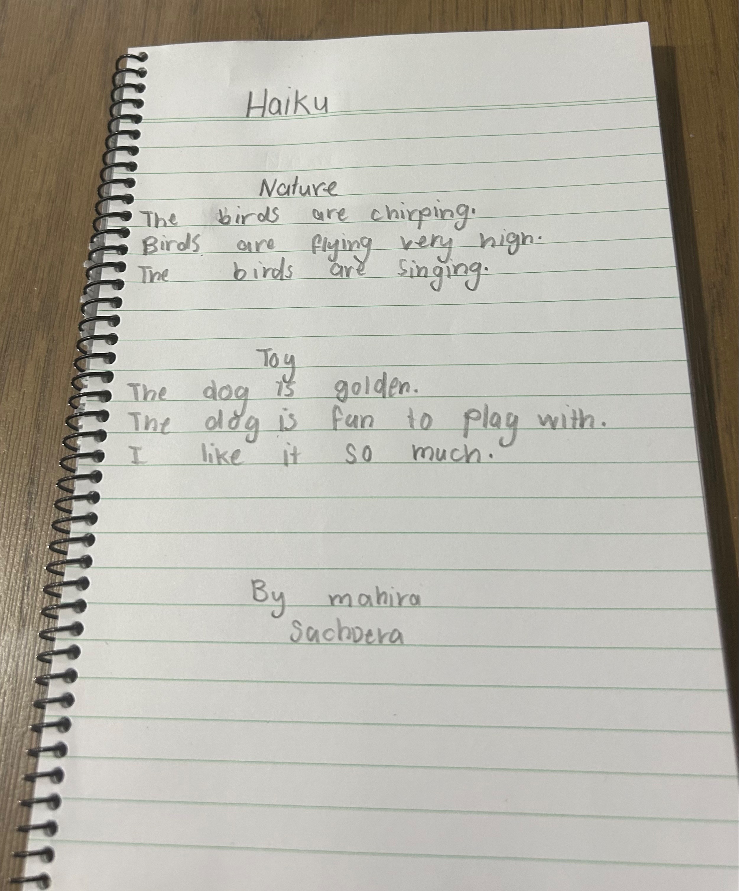 Haiku - nature and a toy.