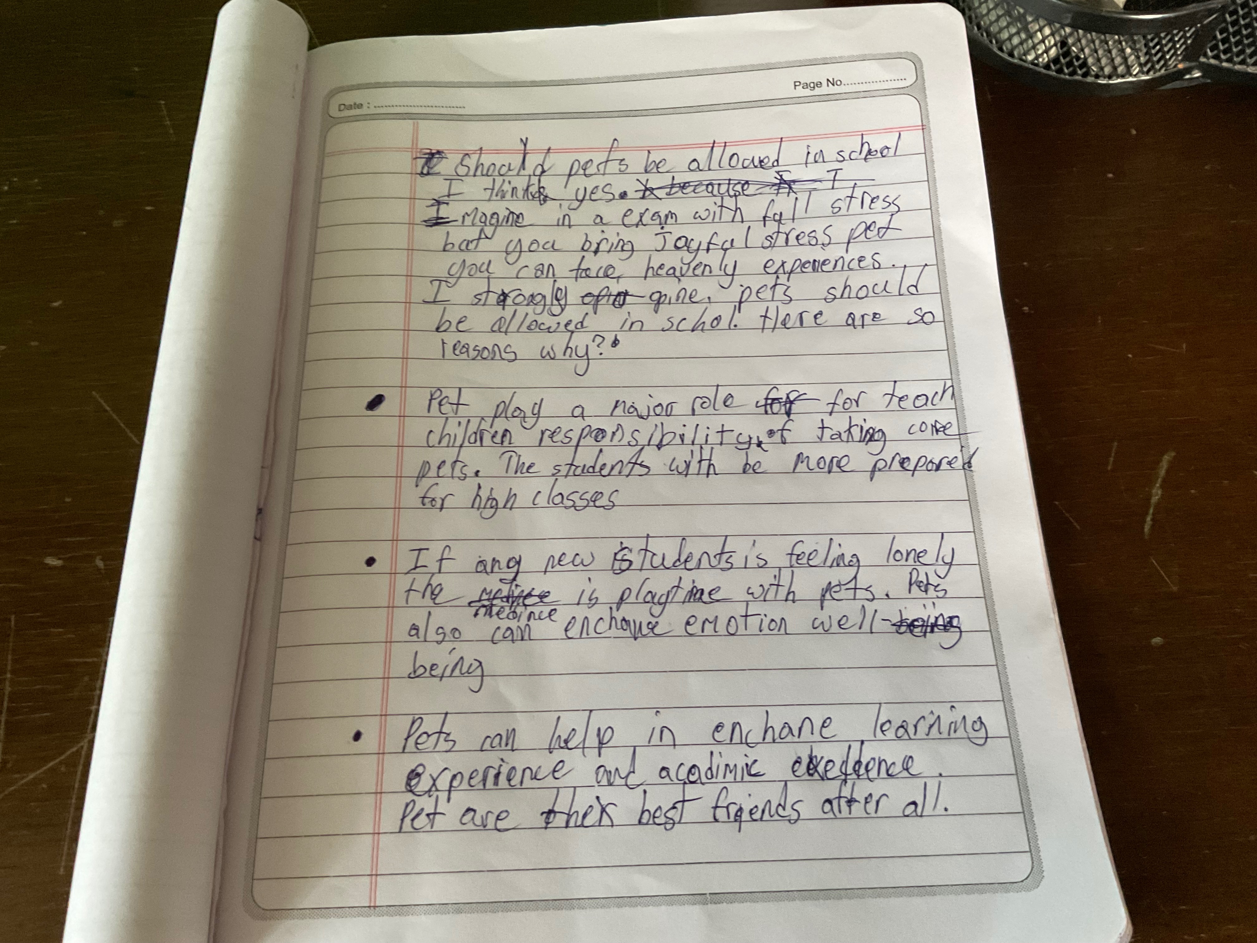 Opinion write 1