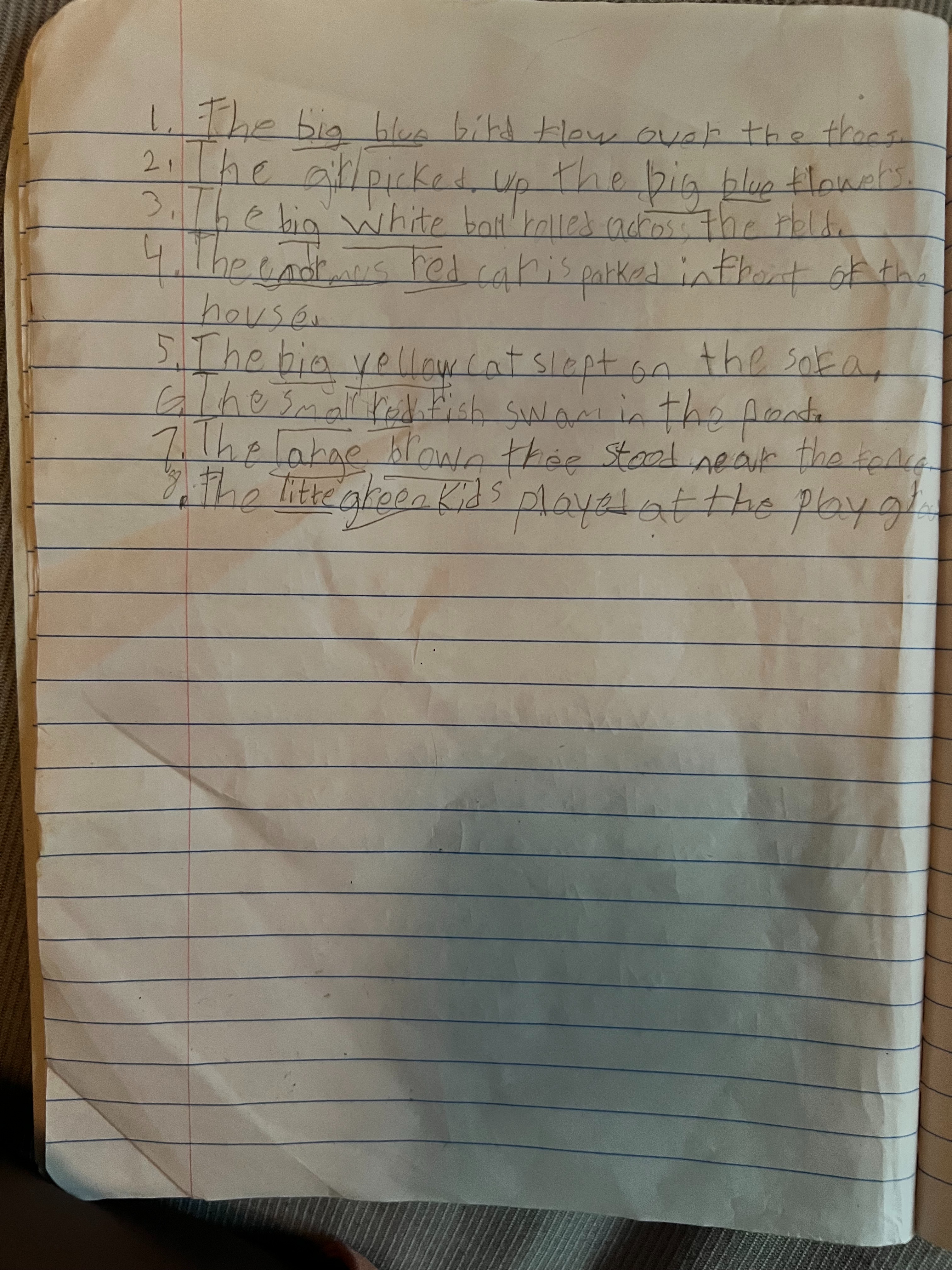 Descriptive Sentences