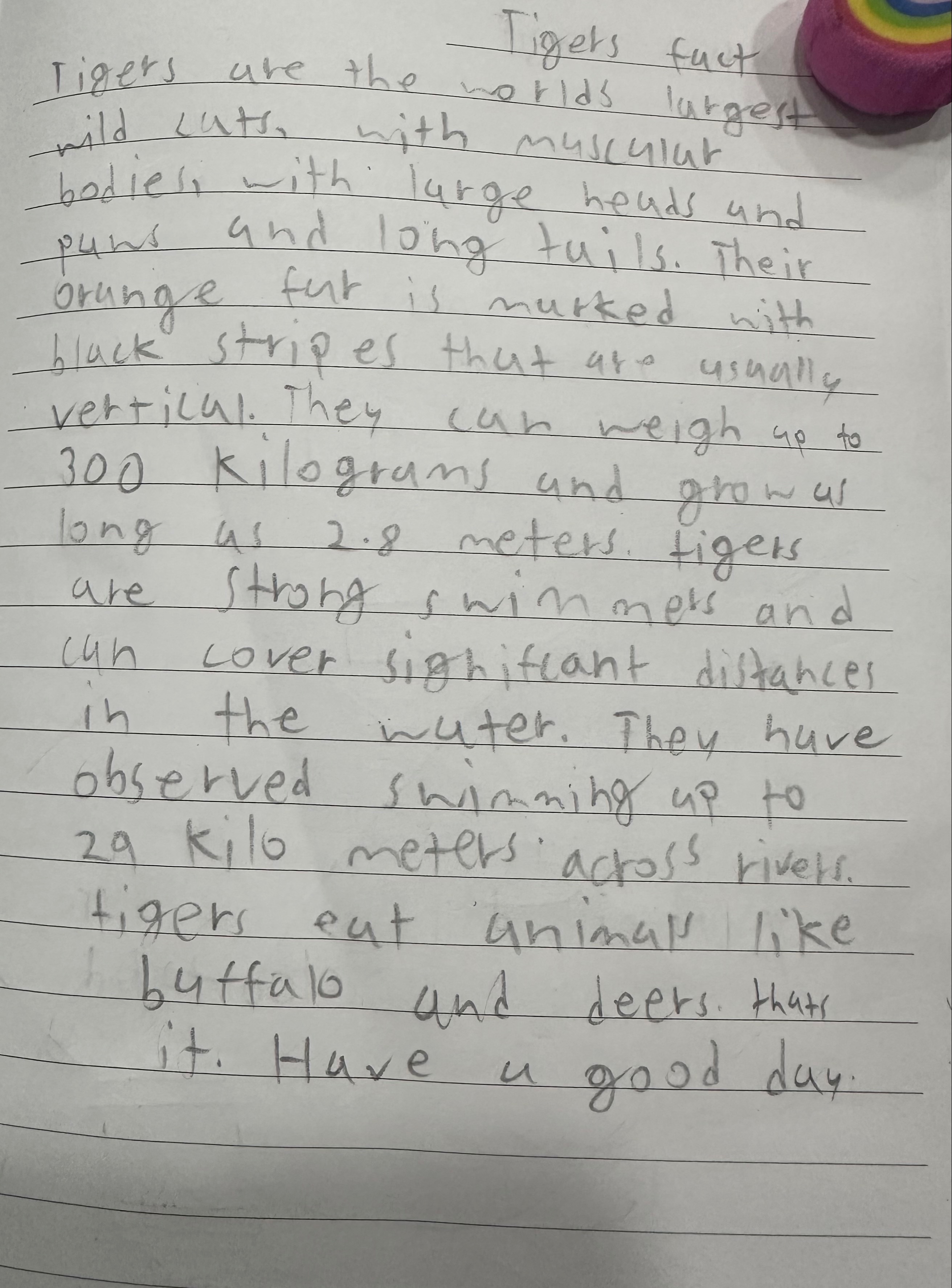 Tiger facts 