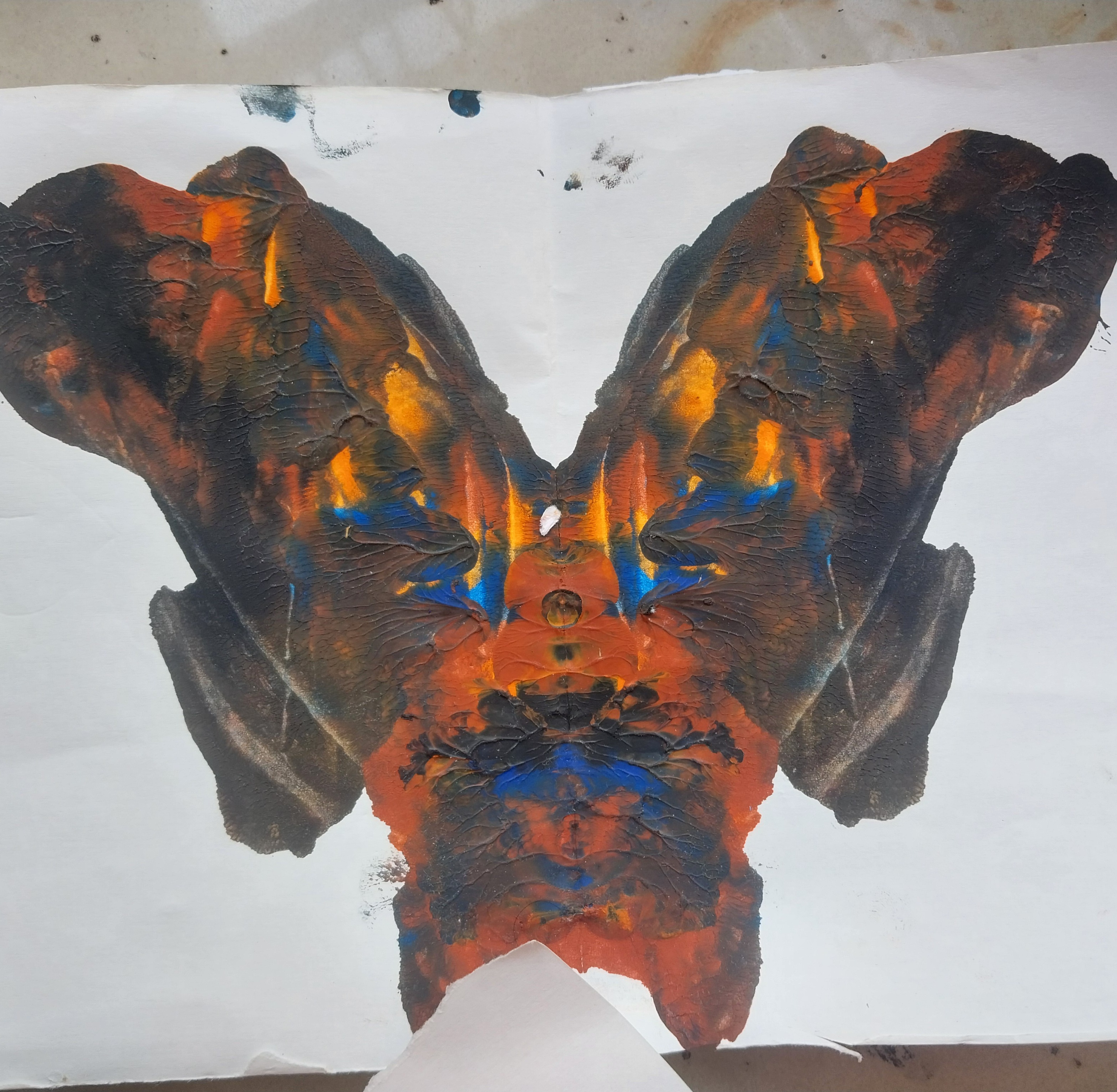 Butterfly paint art
