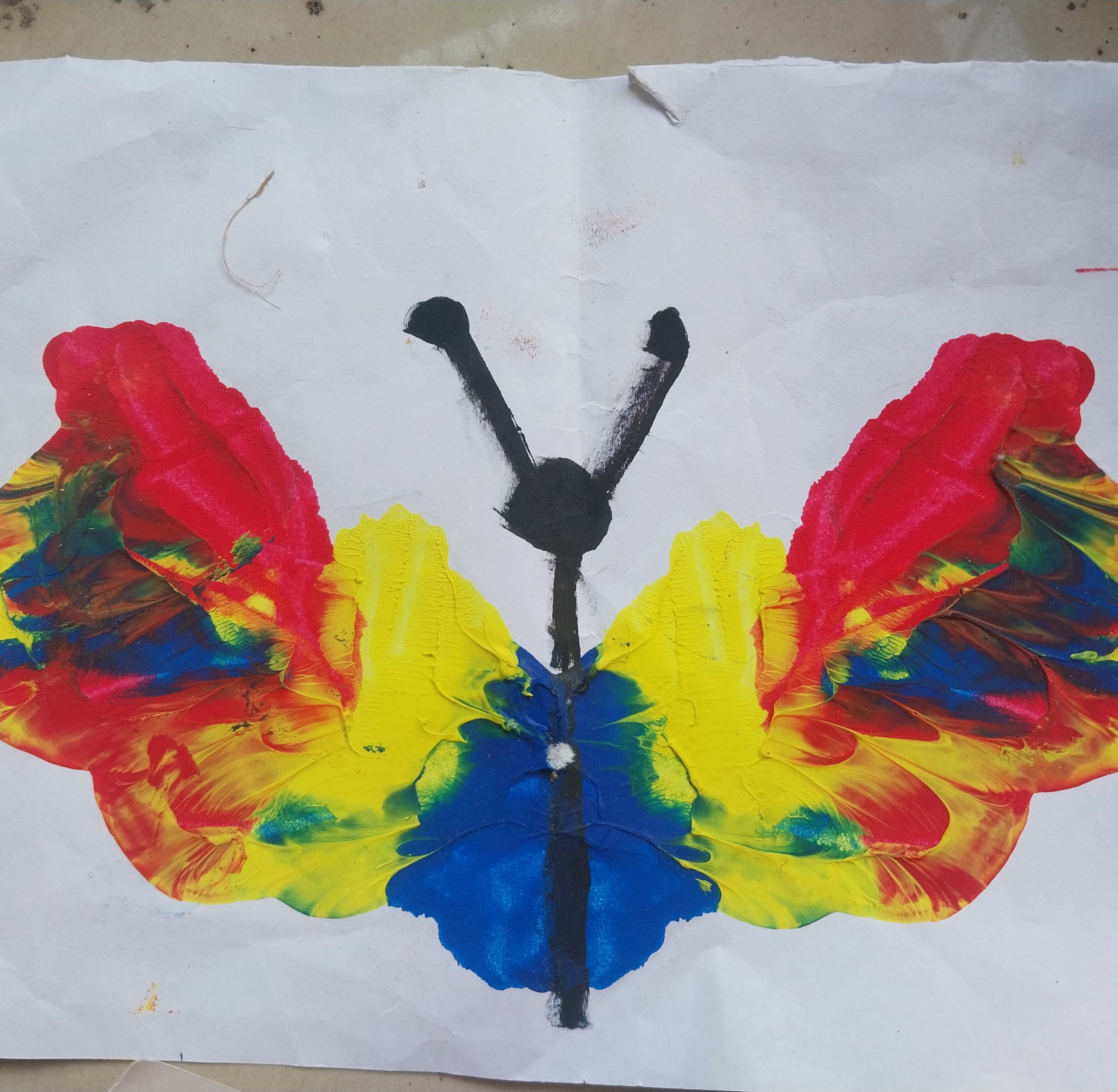 Butterfly paint art