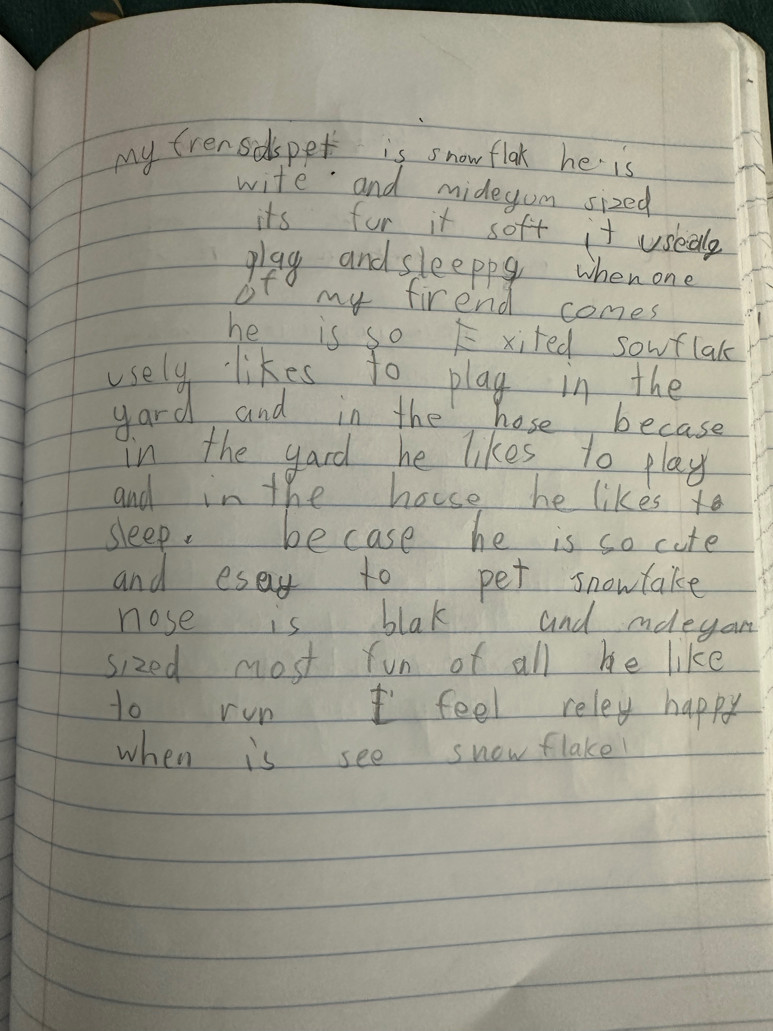 Aaday’s assignment 