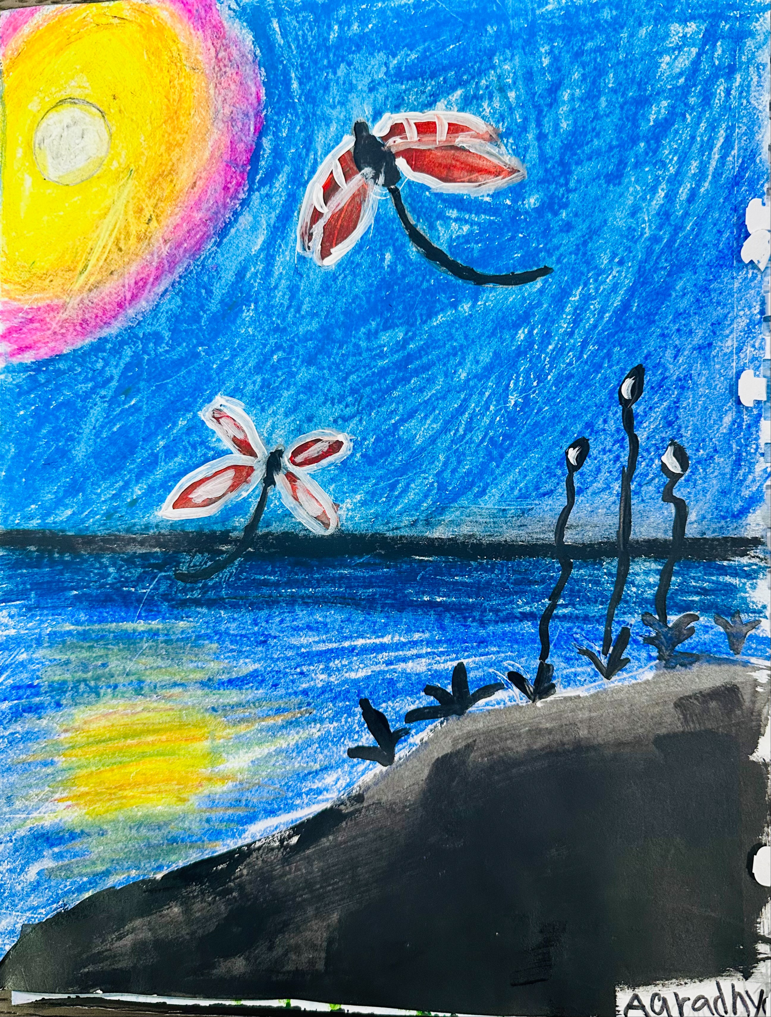 Aaradhya Drawing 4