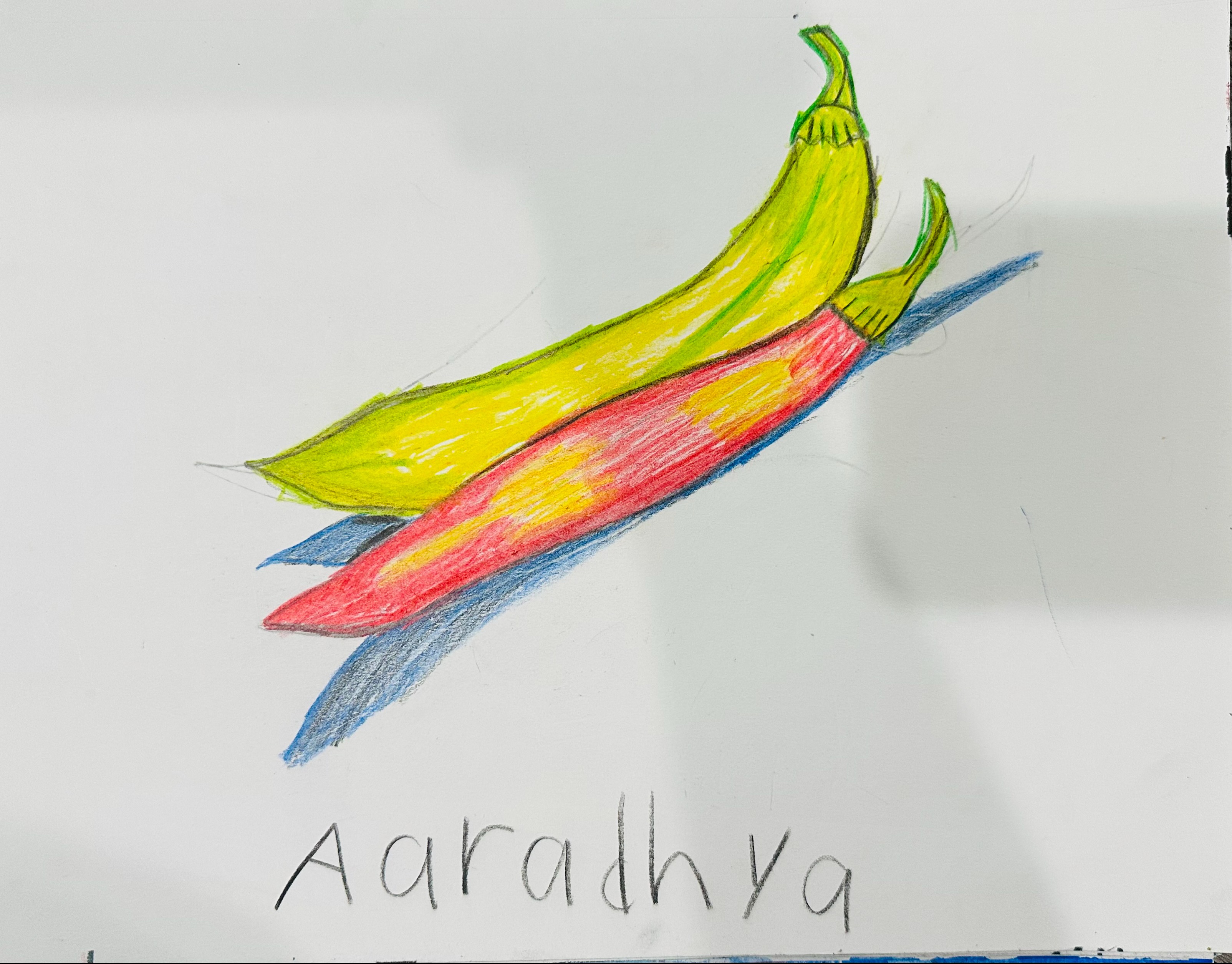 Aaradhya Drawing 7
