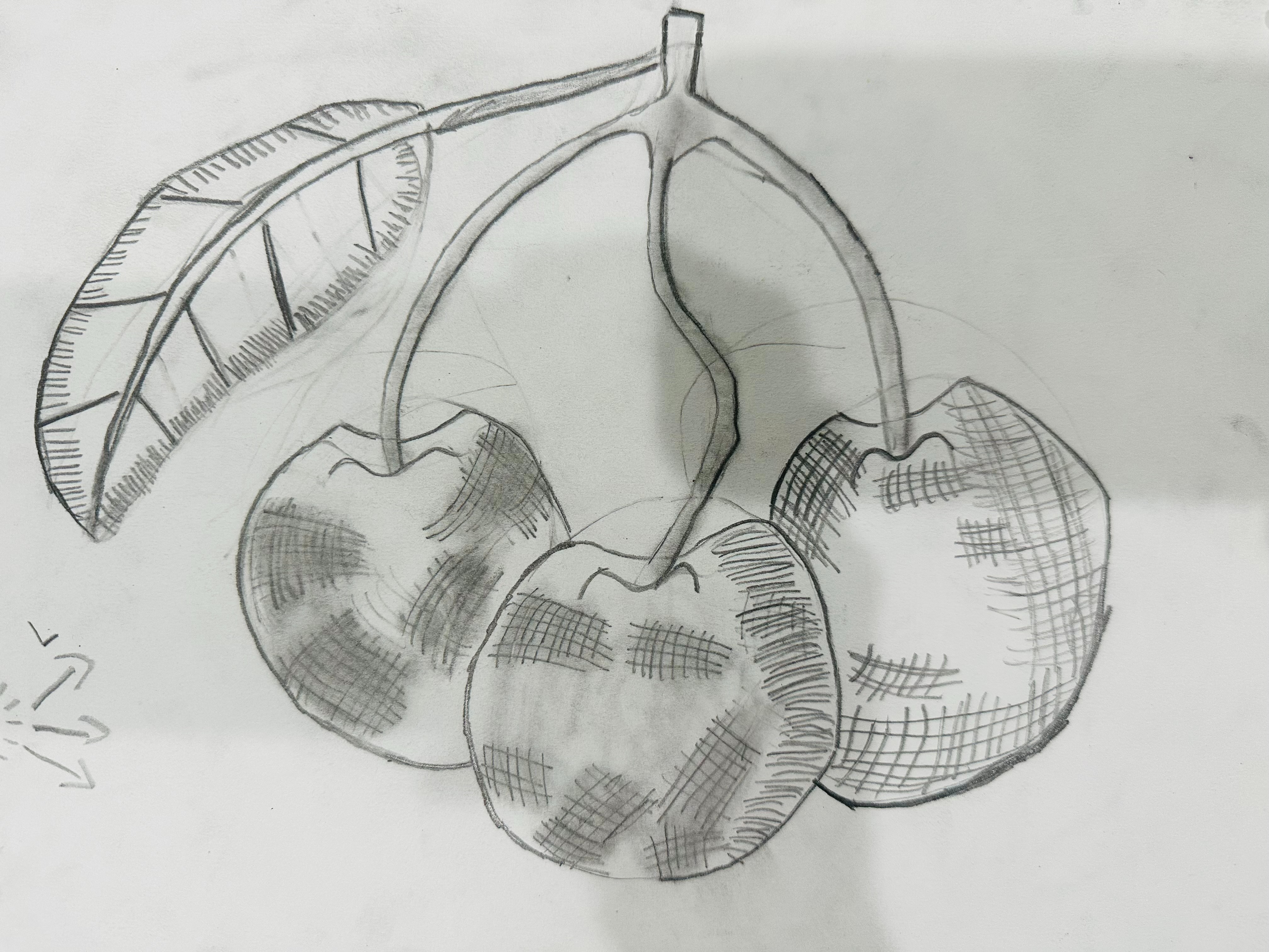 Aaradhya Drawing 8