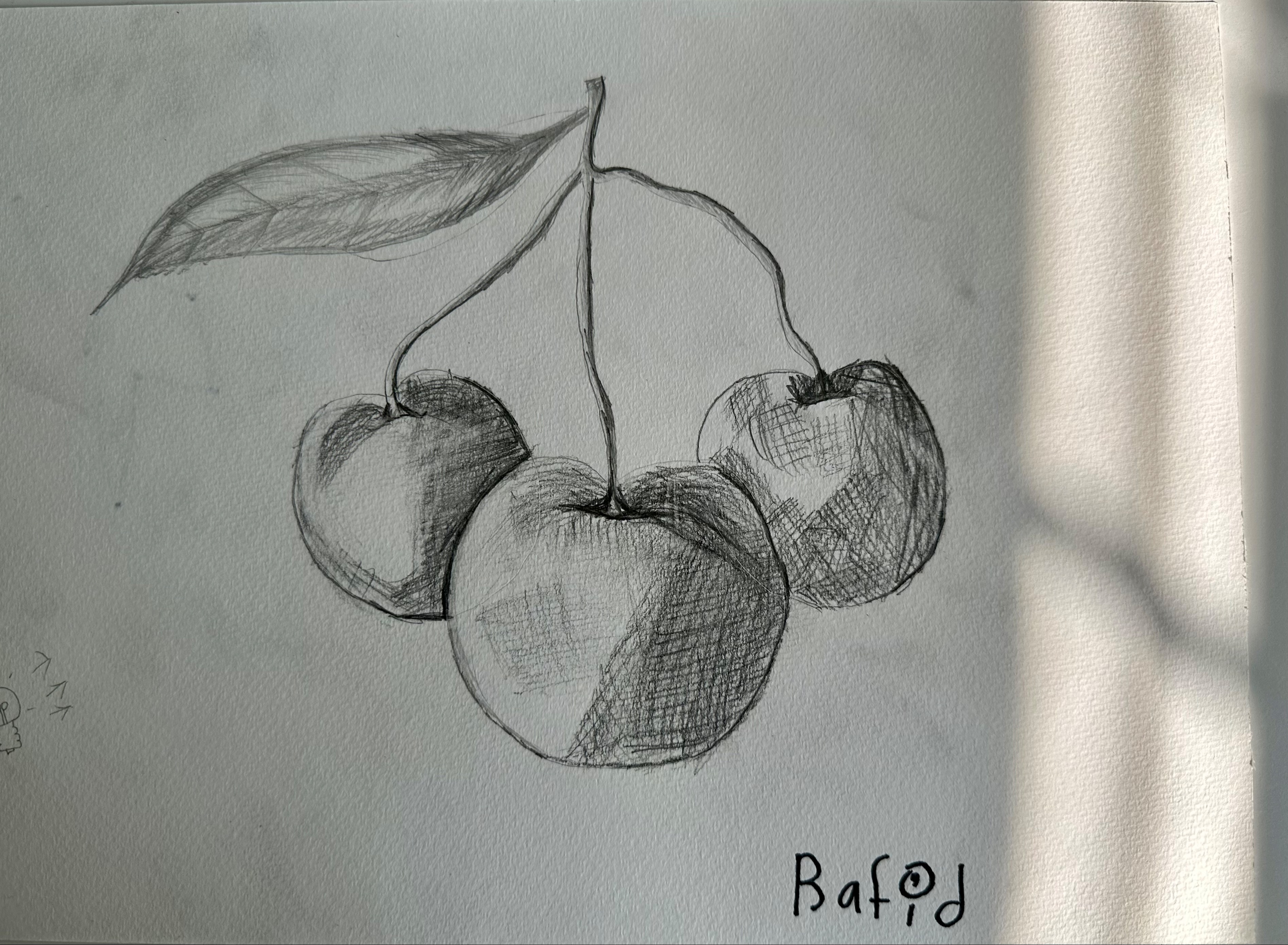 Cherry sketch 
