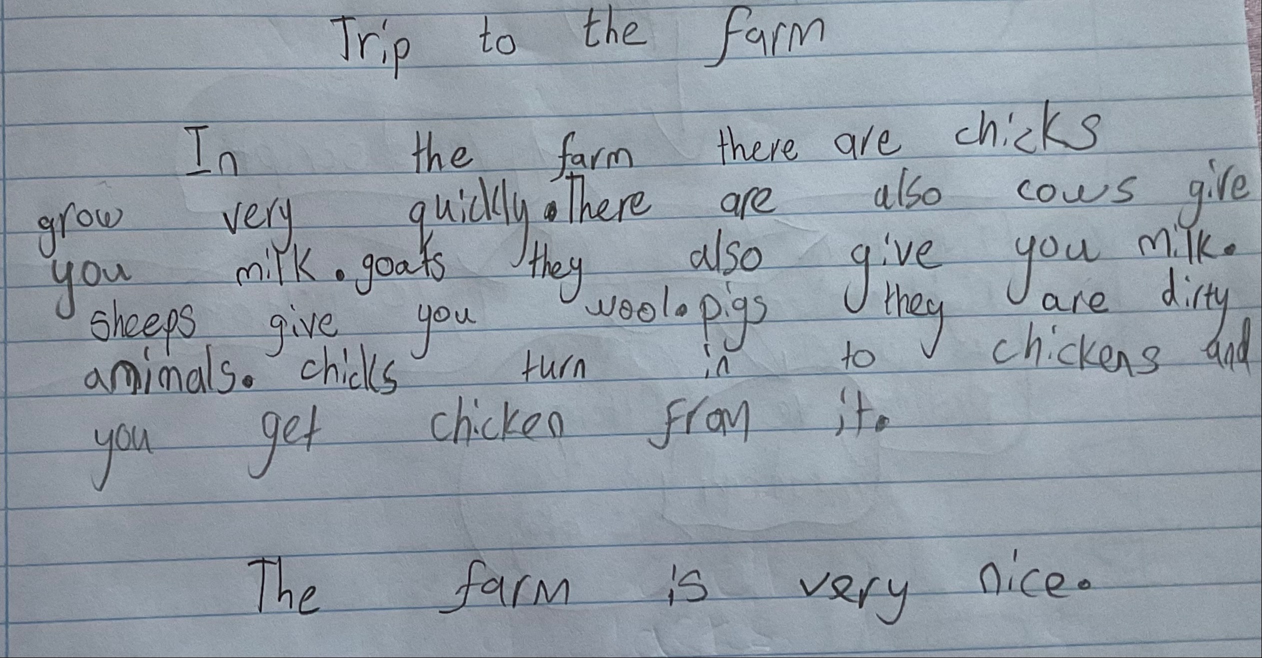 Trip to the farm 