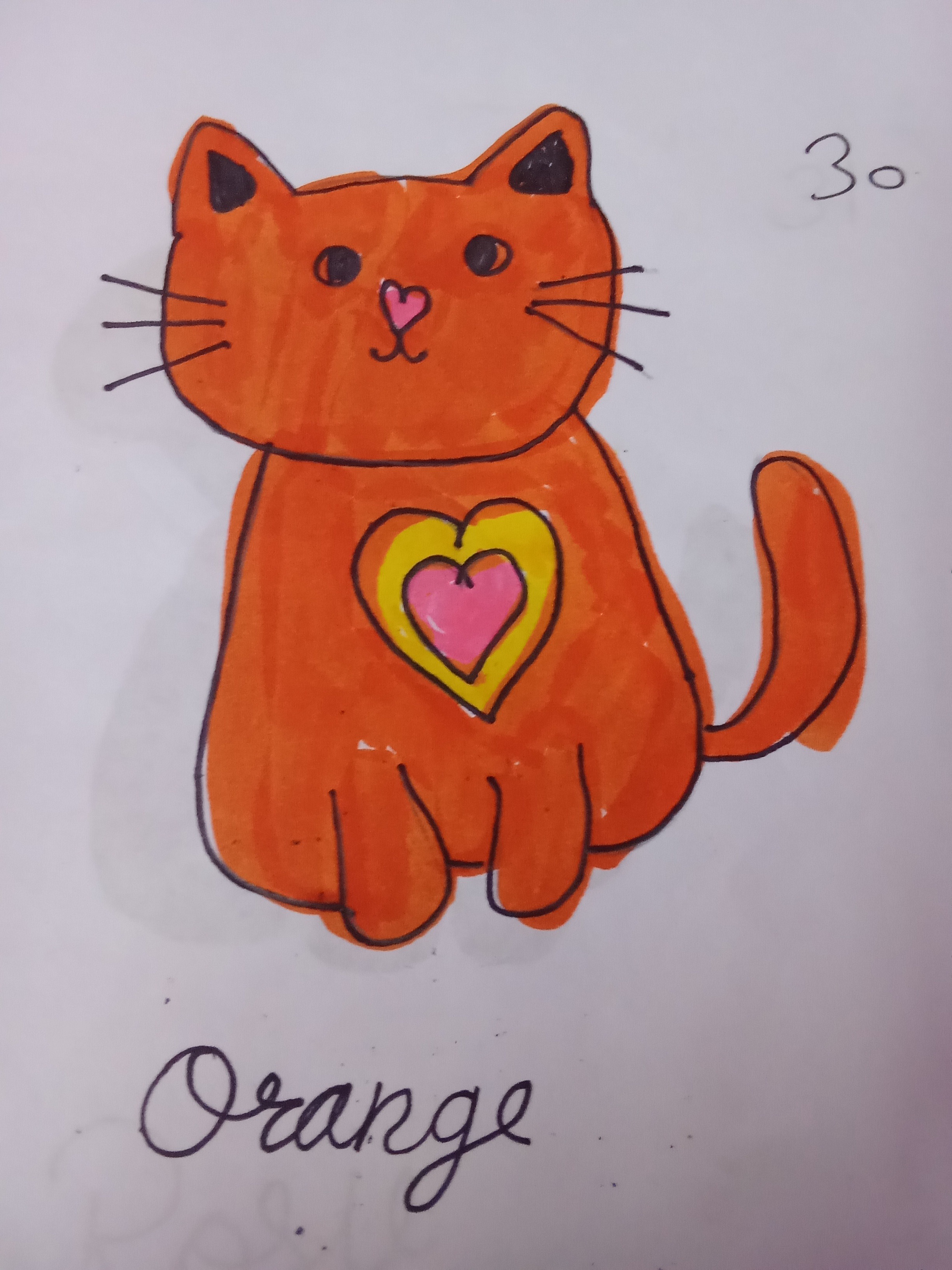 Orange tabby 