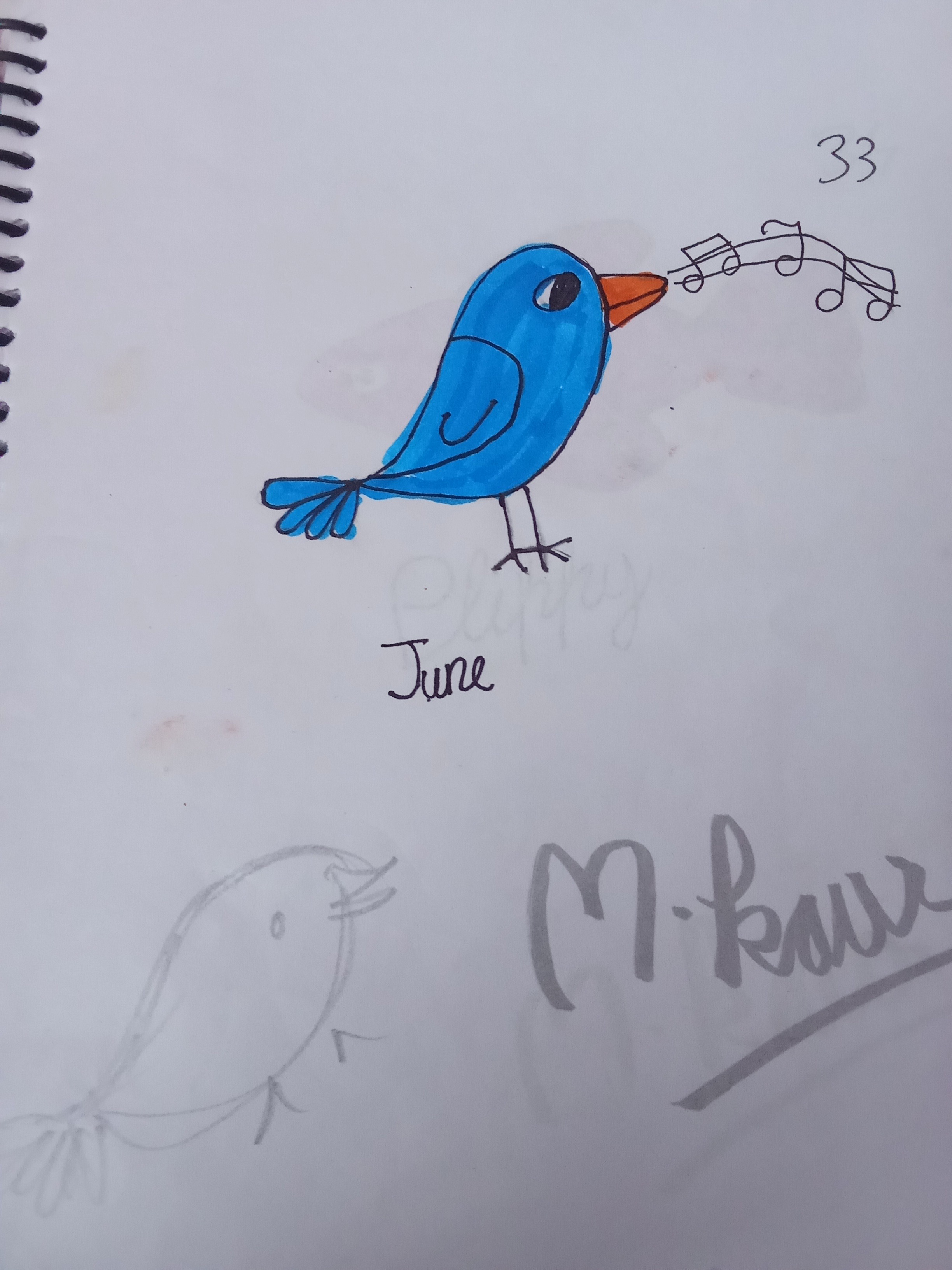 Light blue humming bird