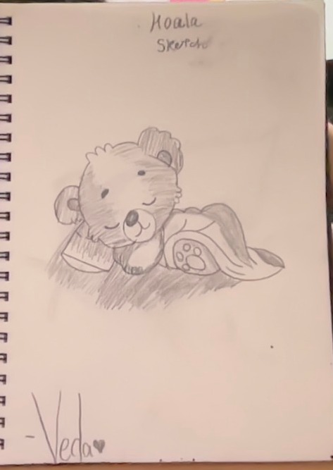 sketch of koala