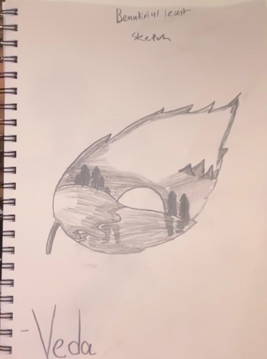 beautiful leaf sketch
