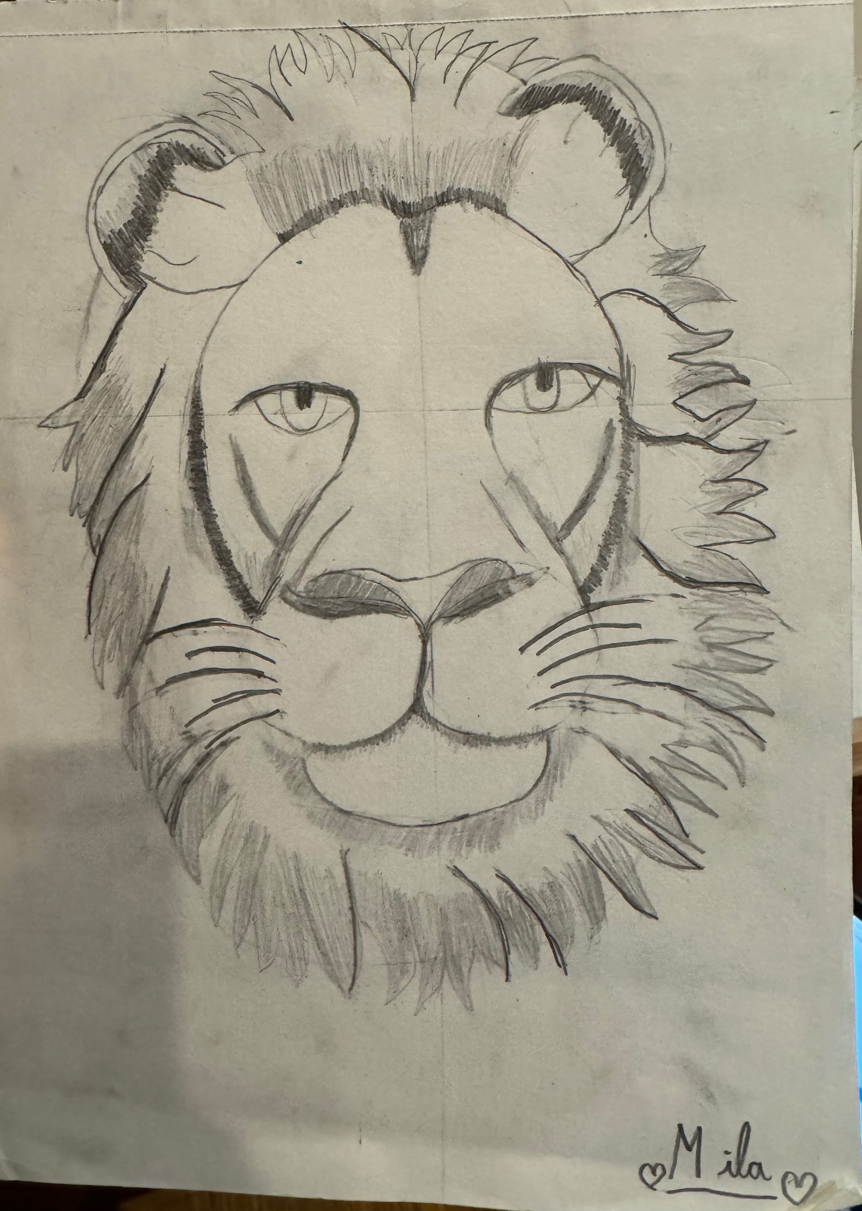 Lion sketching 