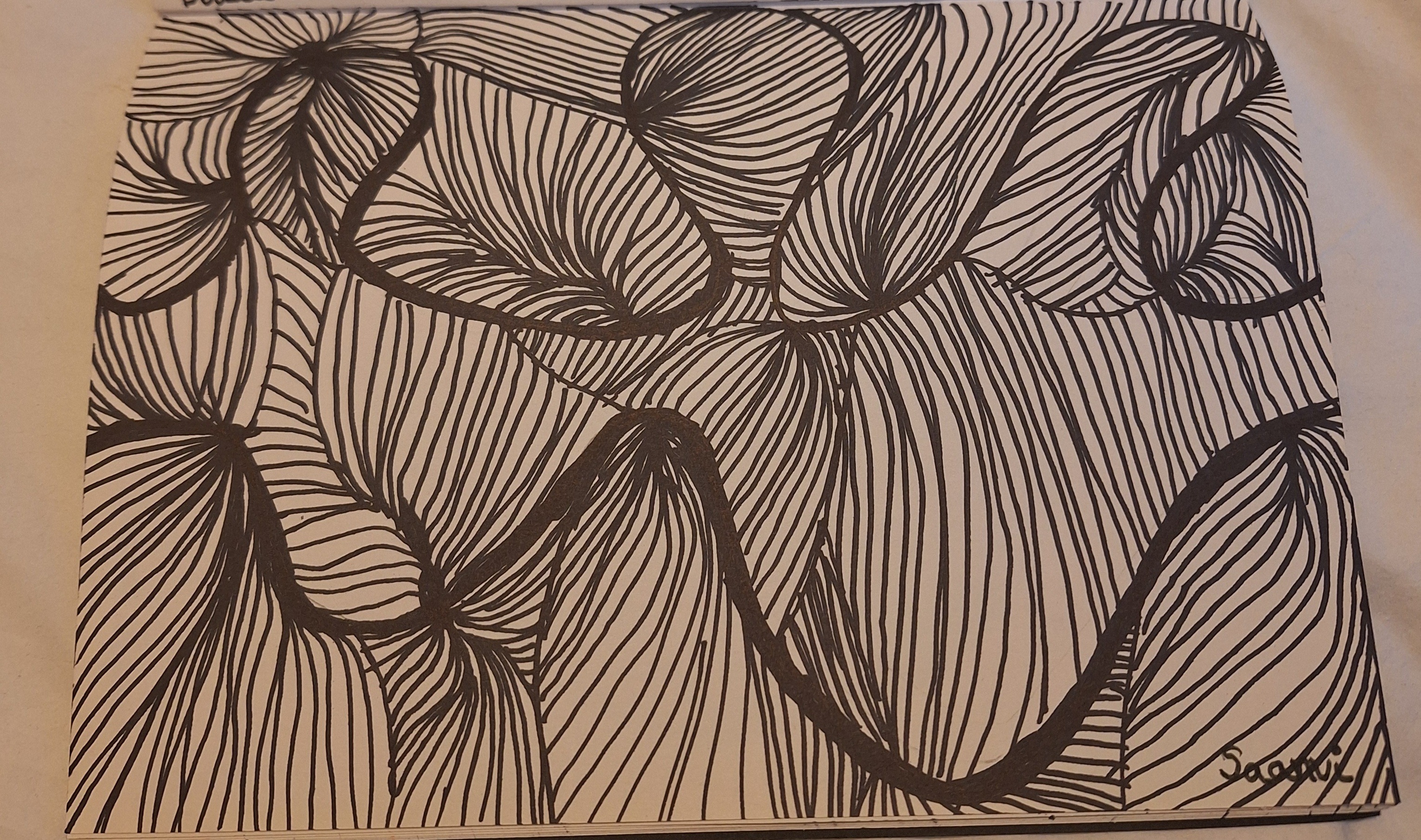 Doodle art