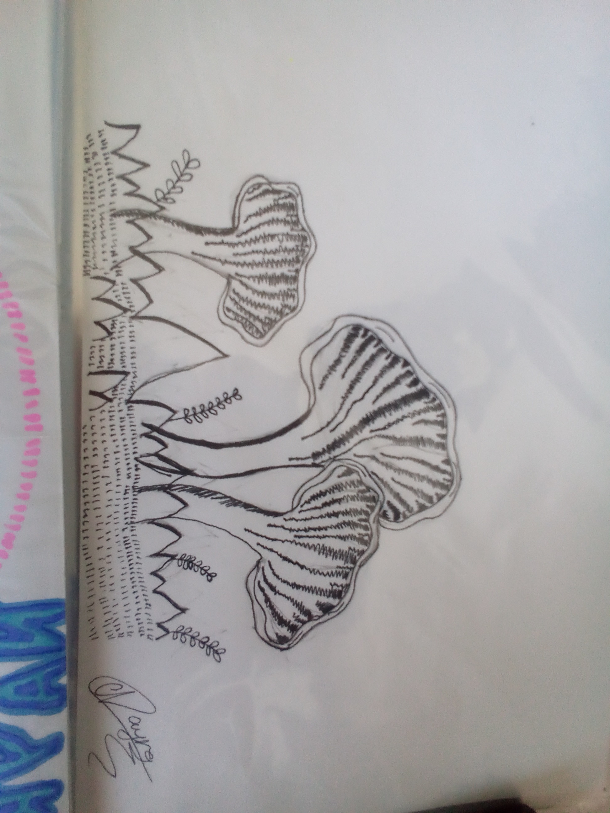Three mushrooms