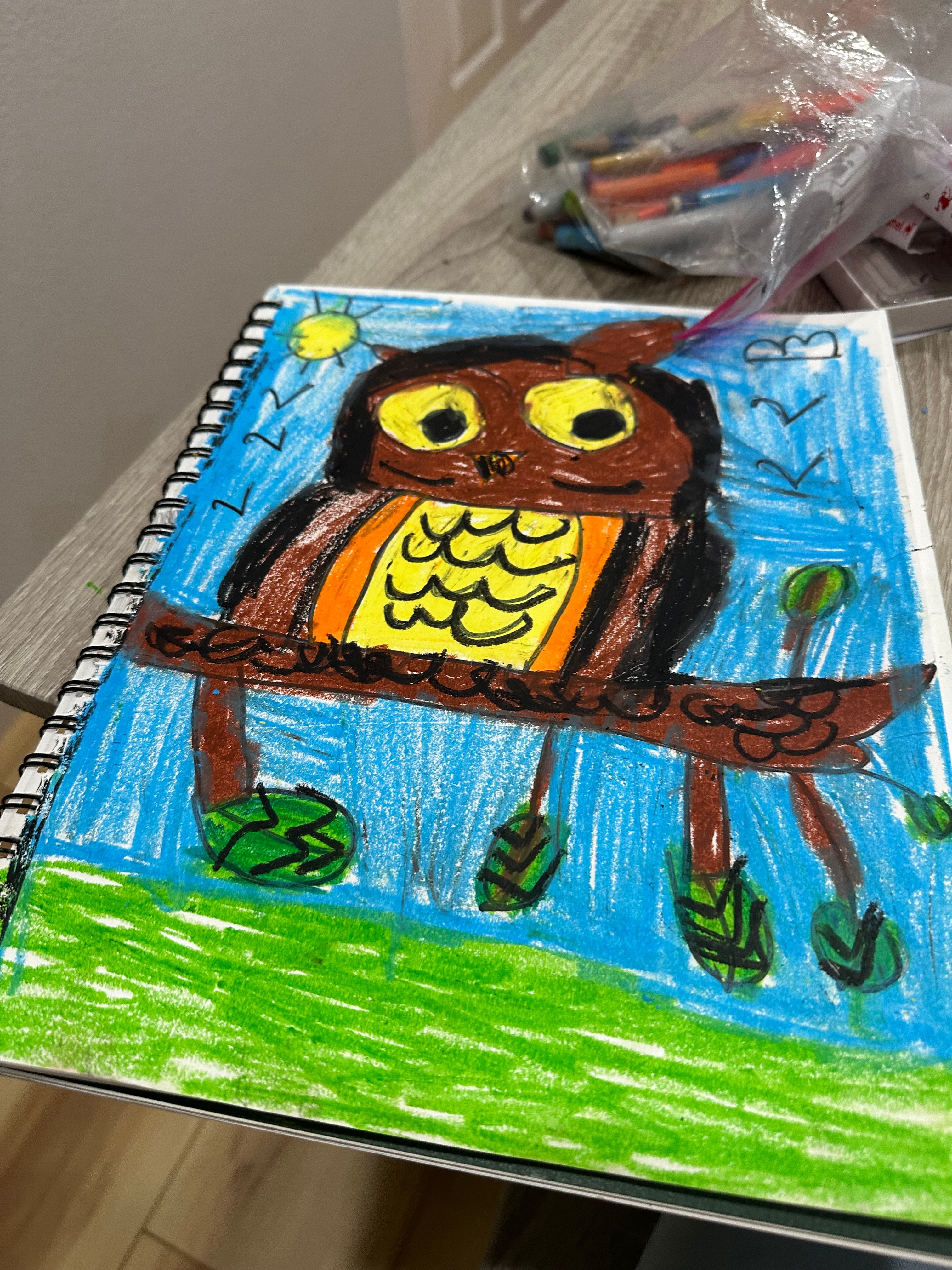 owl 