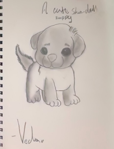 a cute shaded puppy