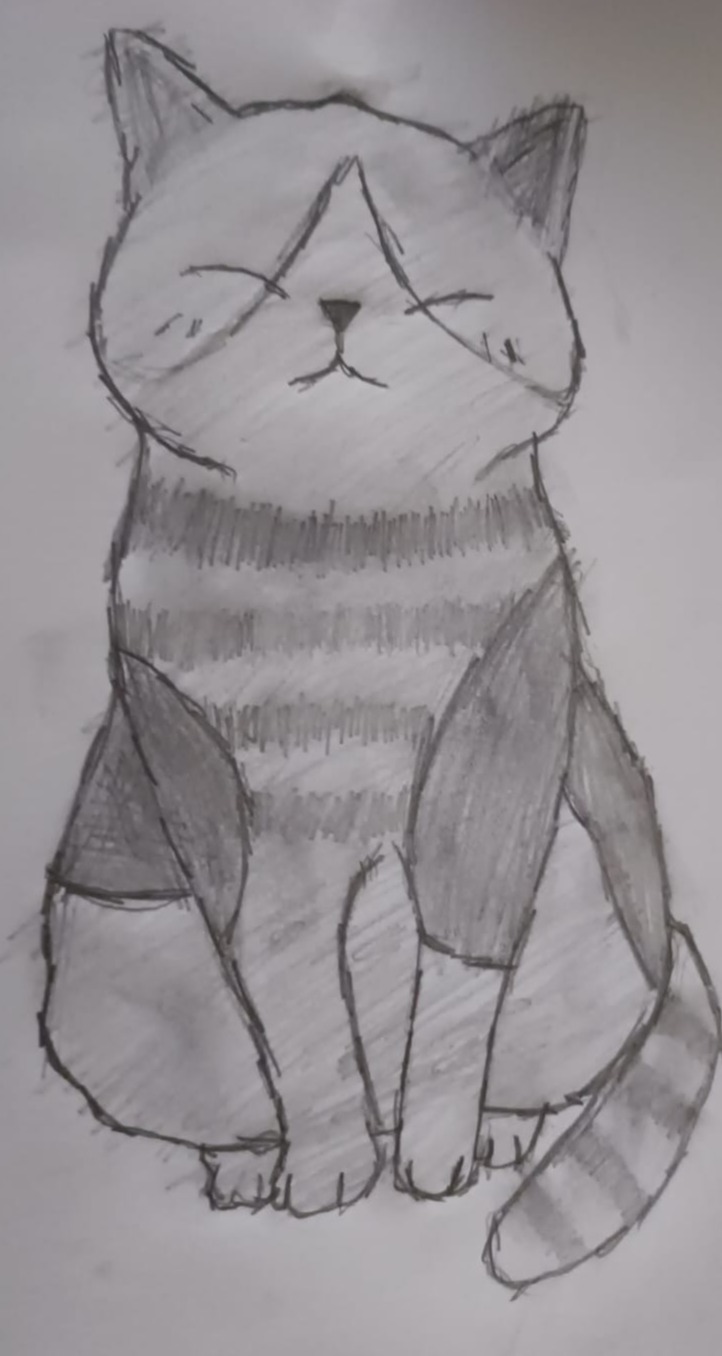 American Shorthair Cat Made By Anushka