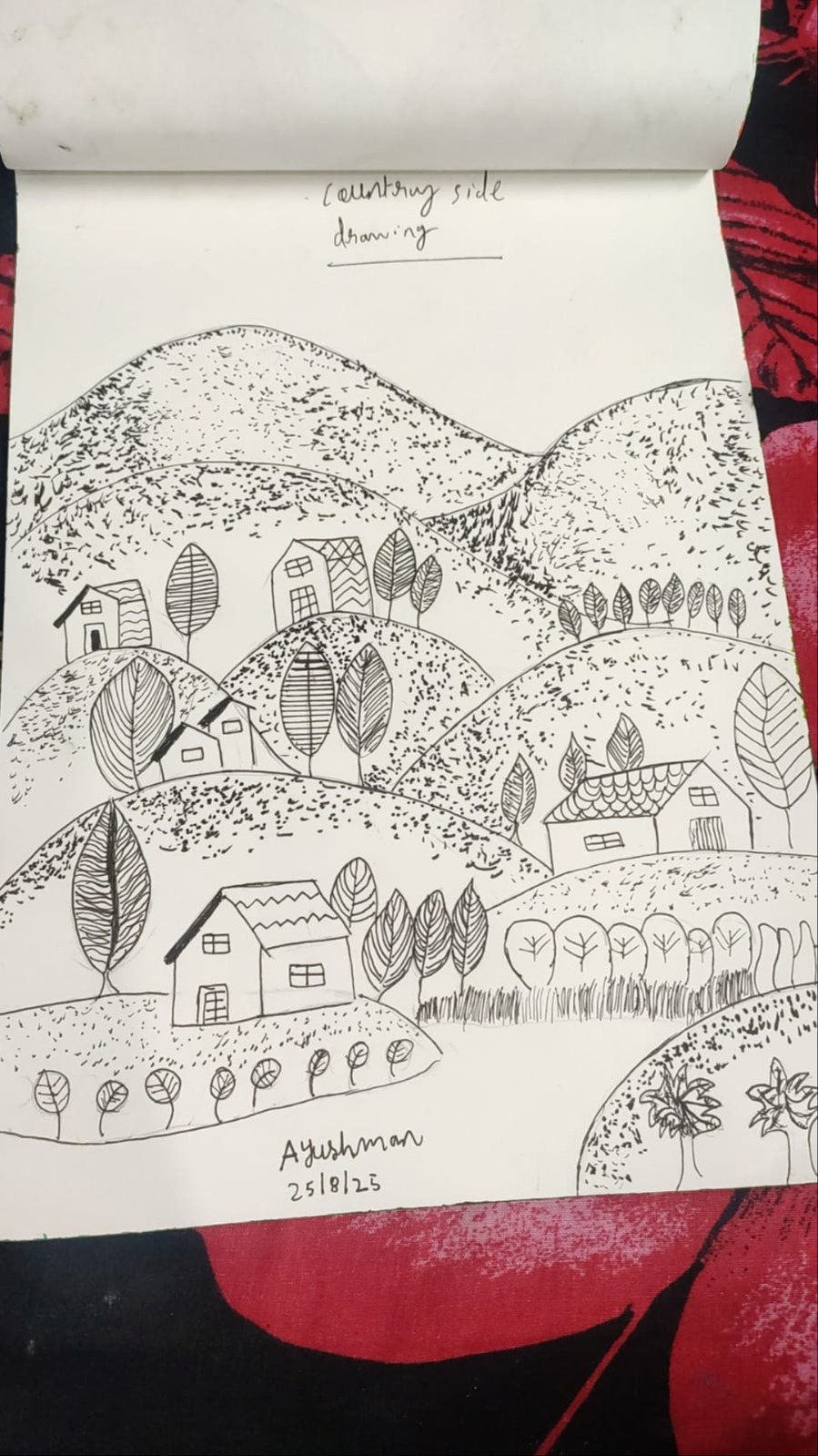 Country side pen art