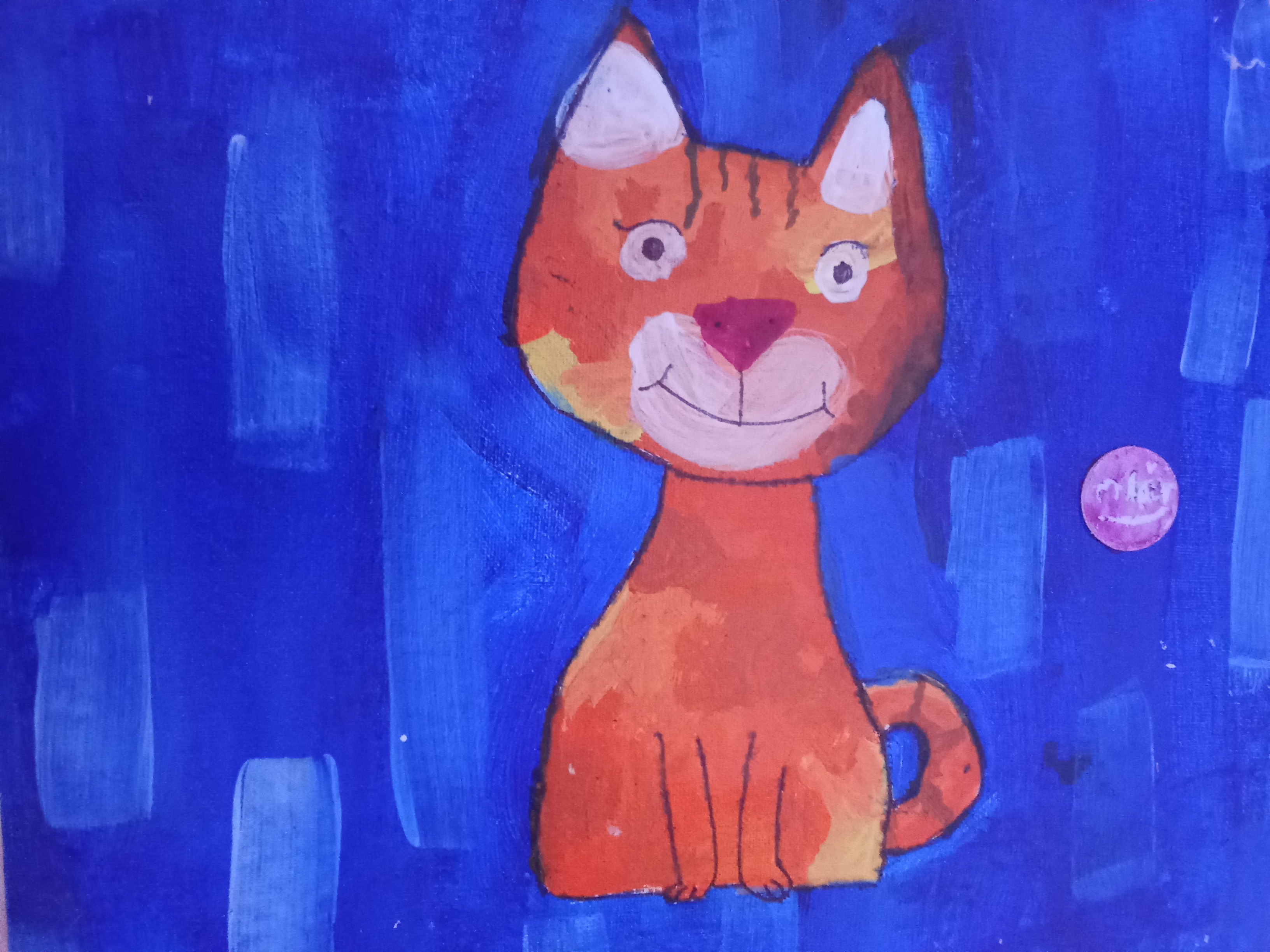 Orange tabby 