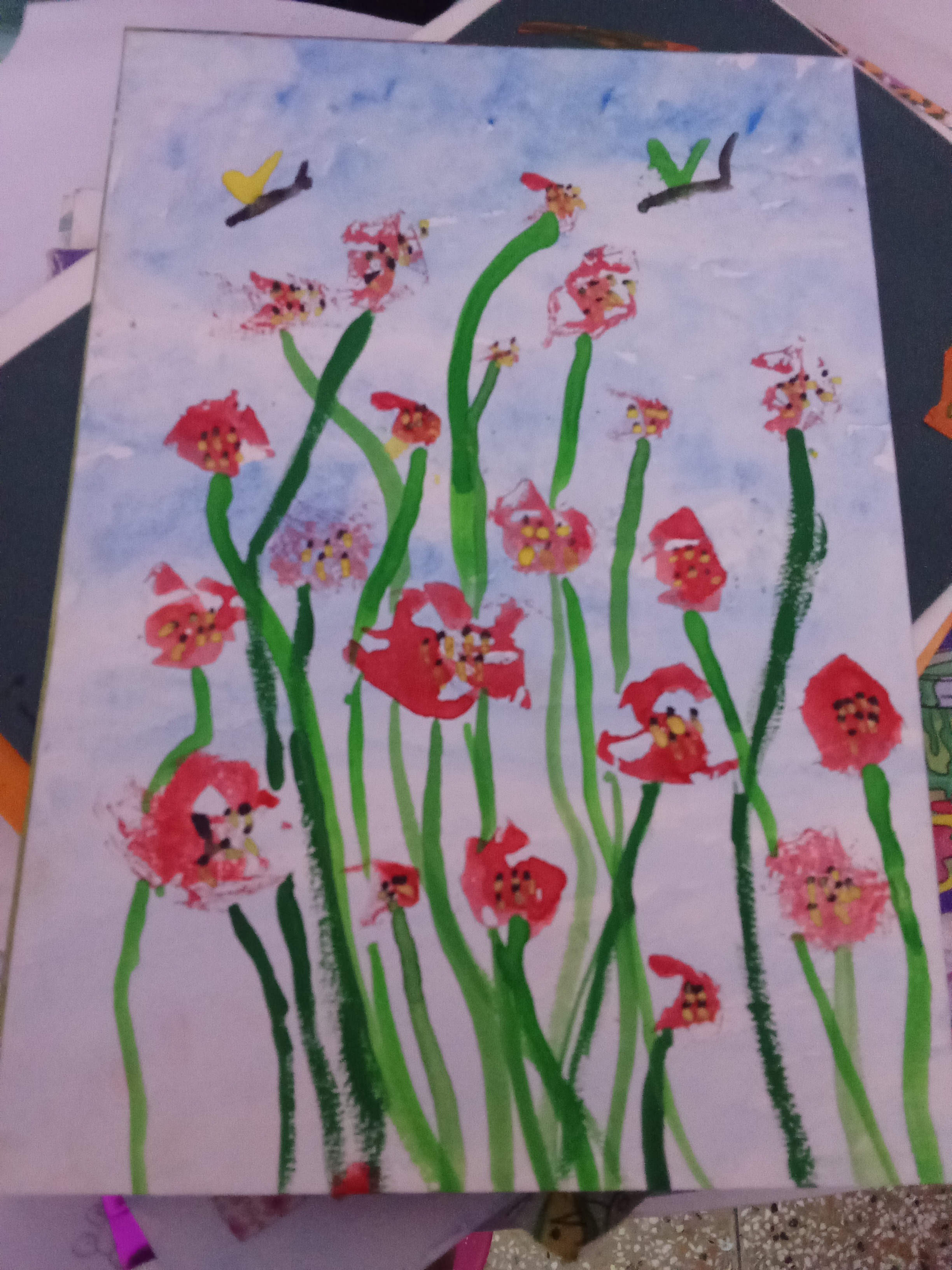 Red poppy