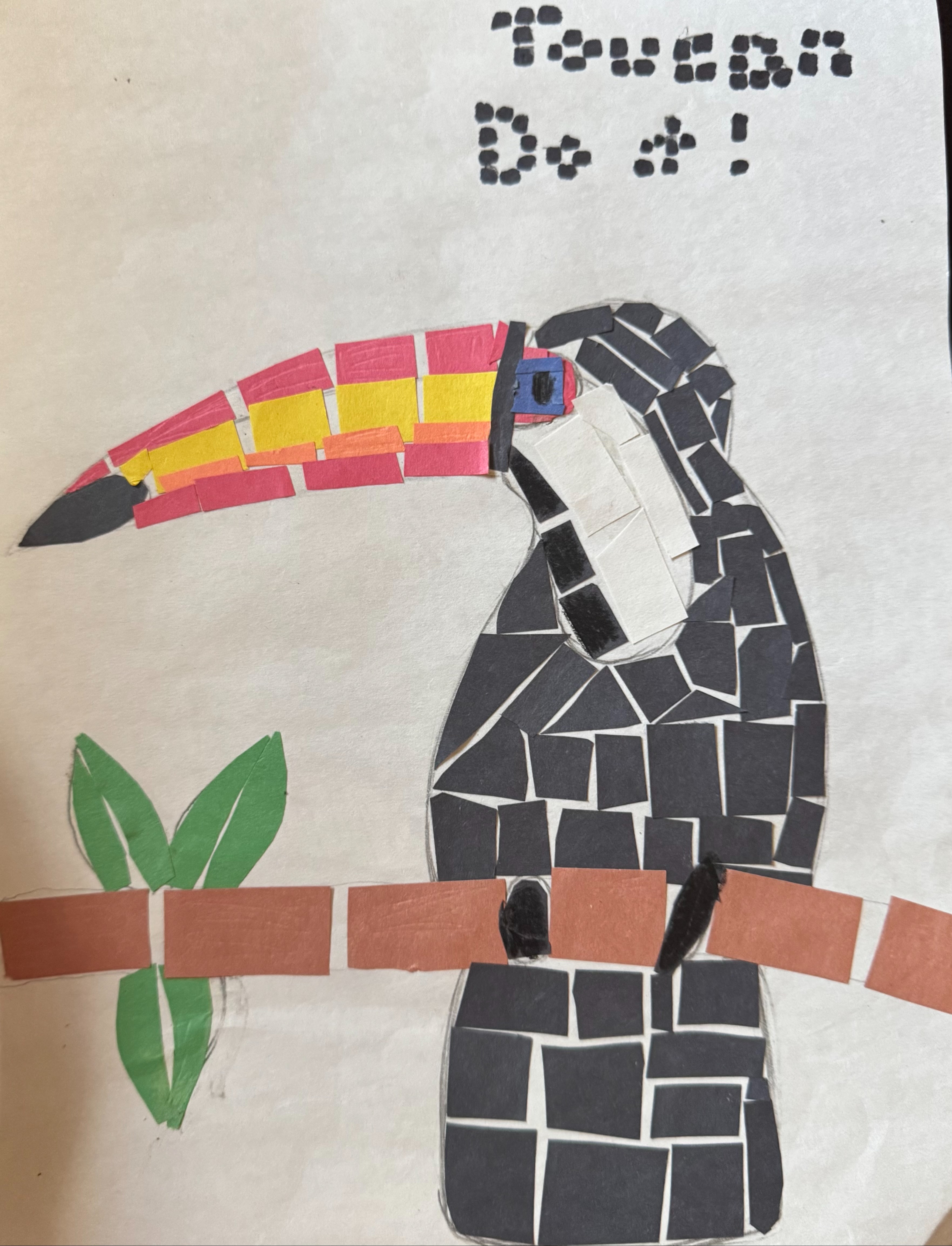 collage with toucan