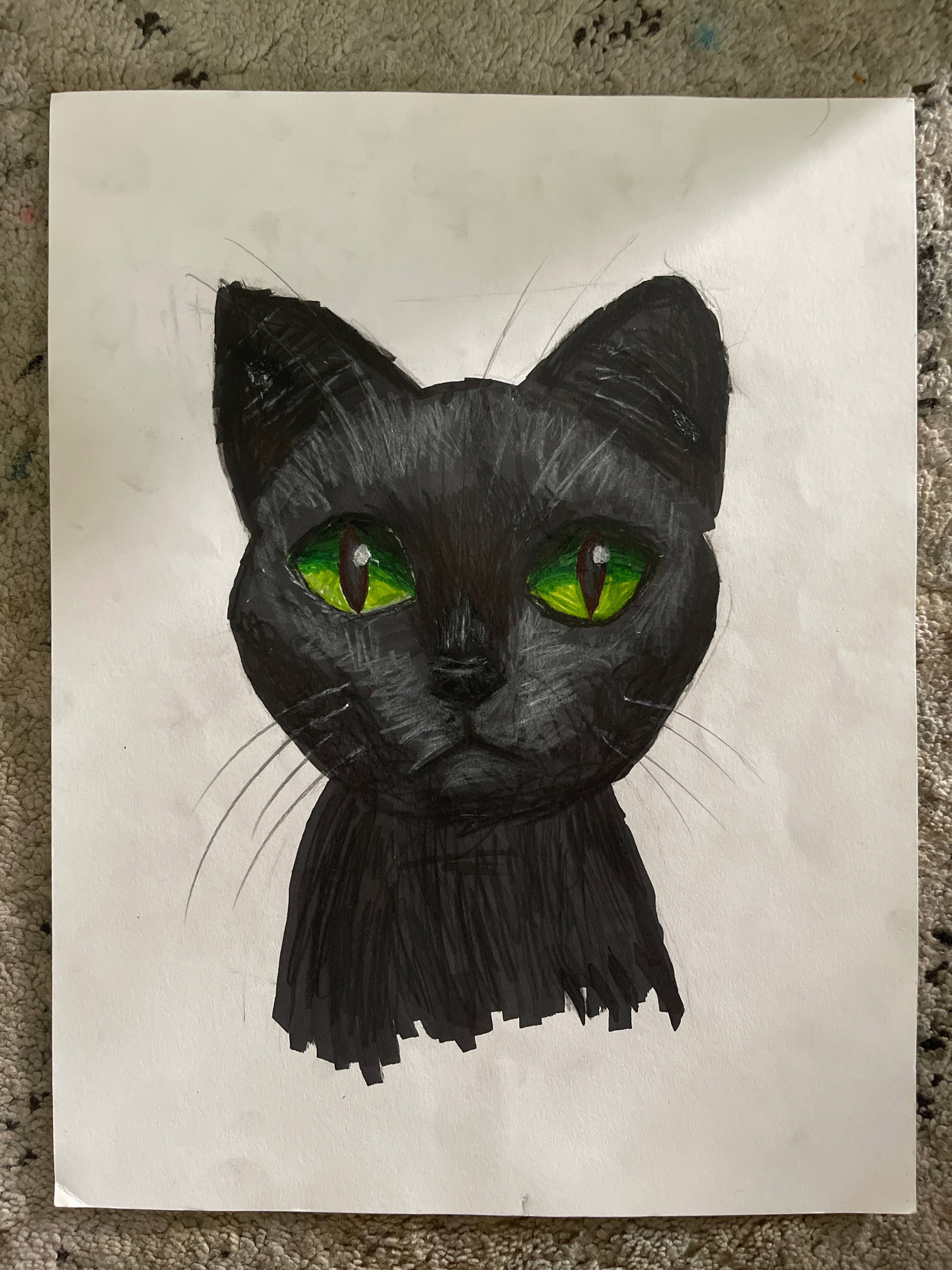 Black cat