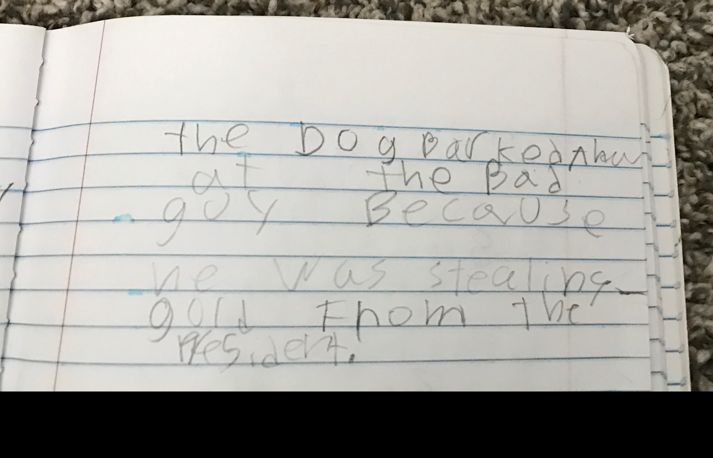  The fixed sentence for the dog barked