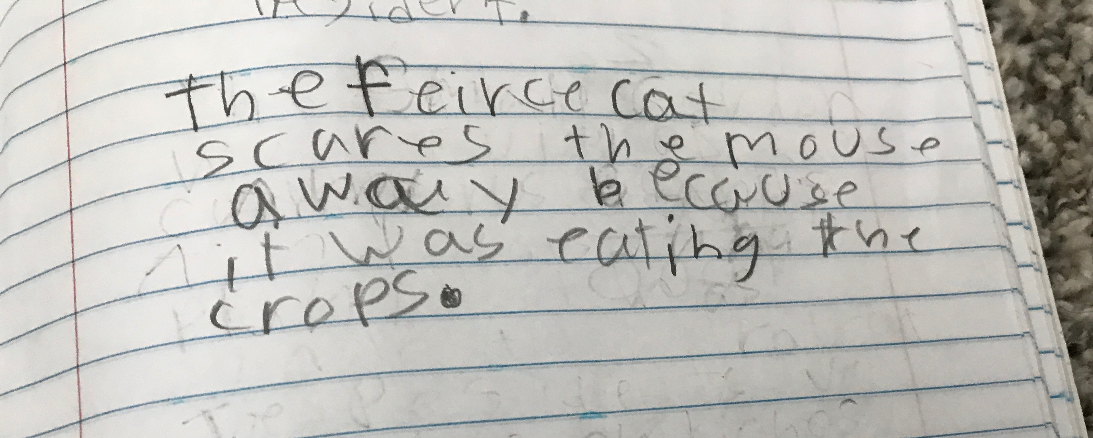 Fixed sentence of the fierce cat caught the mouse