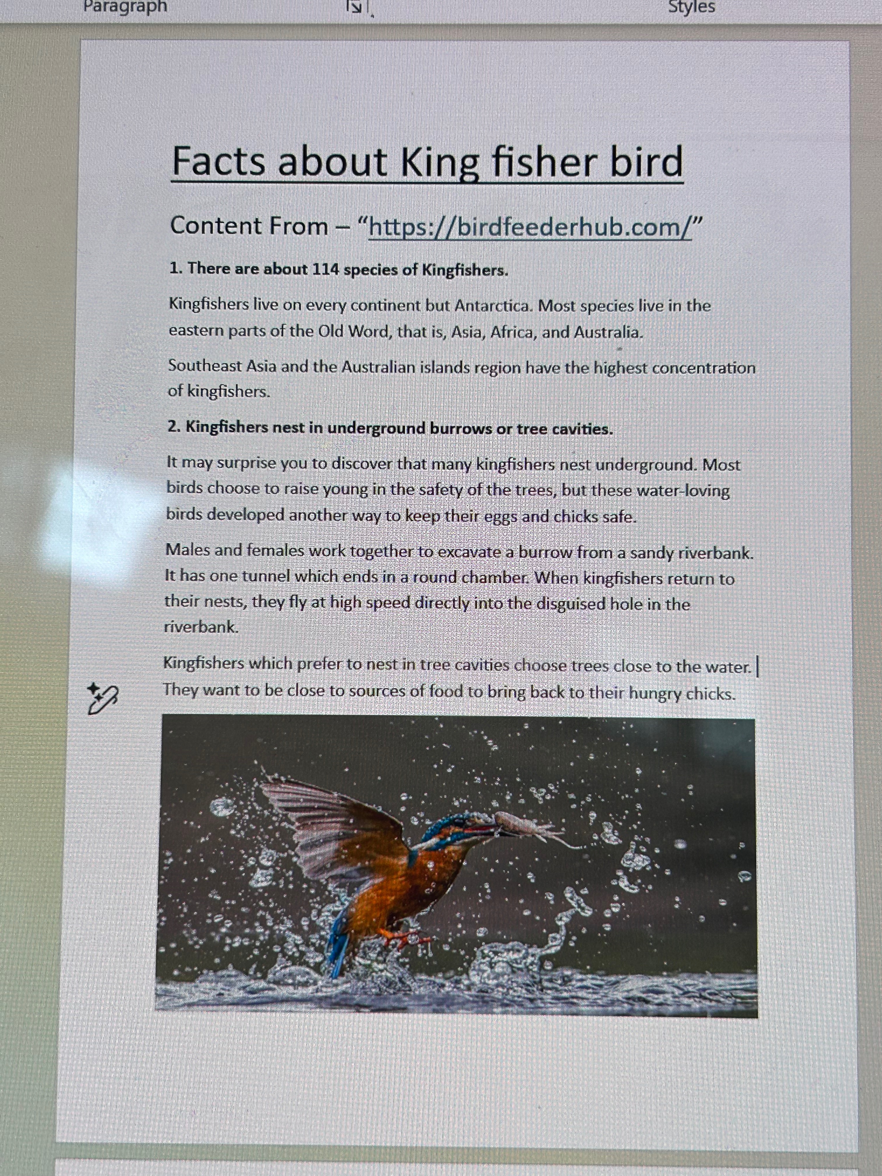 Facts about King fisher bird 