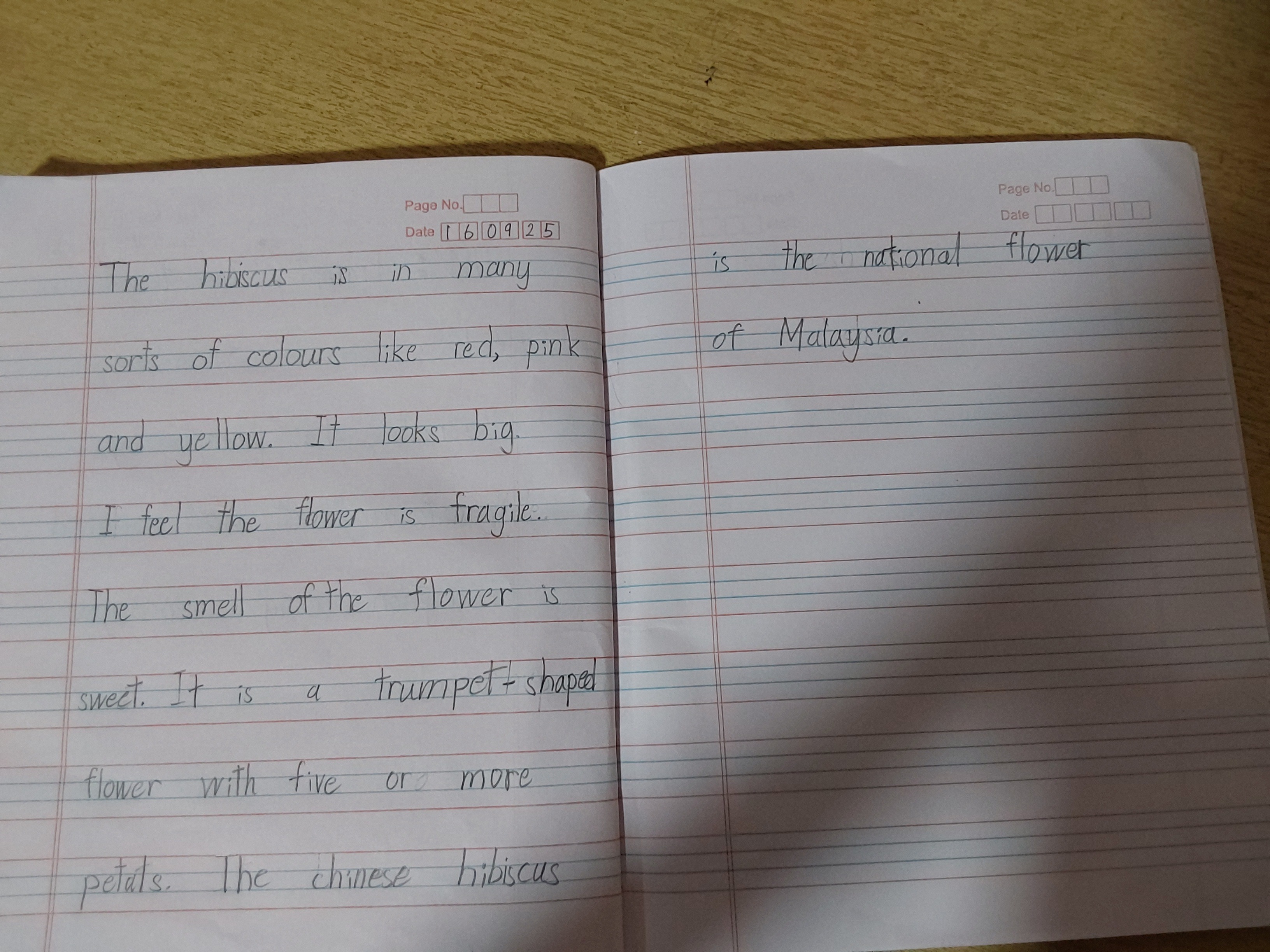 Describing objects