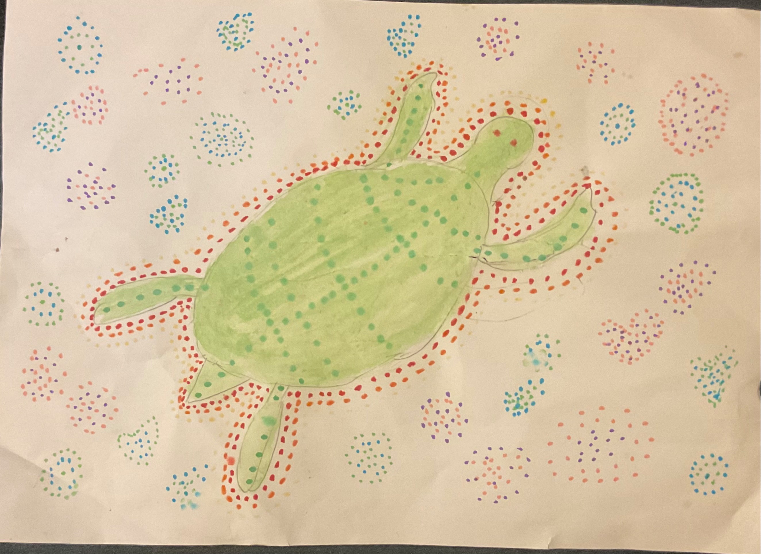 Turtle 