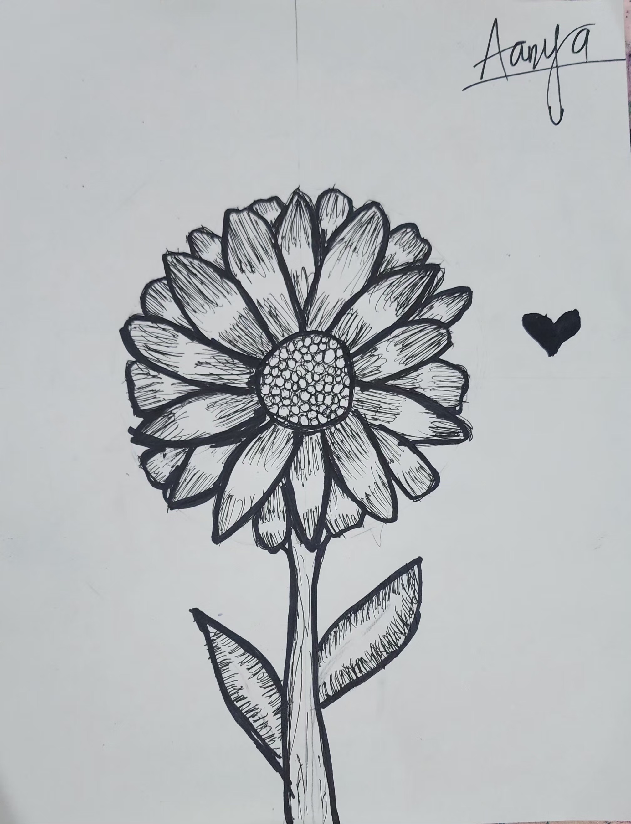 Floral Composition with pens