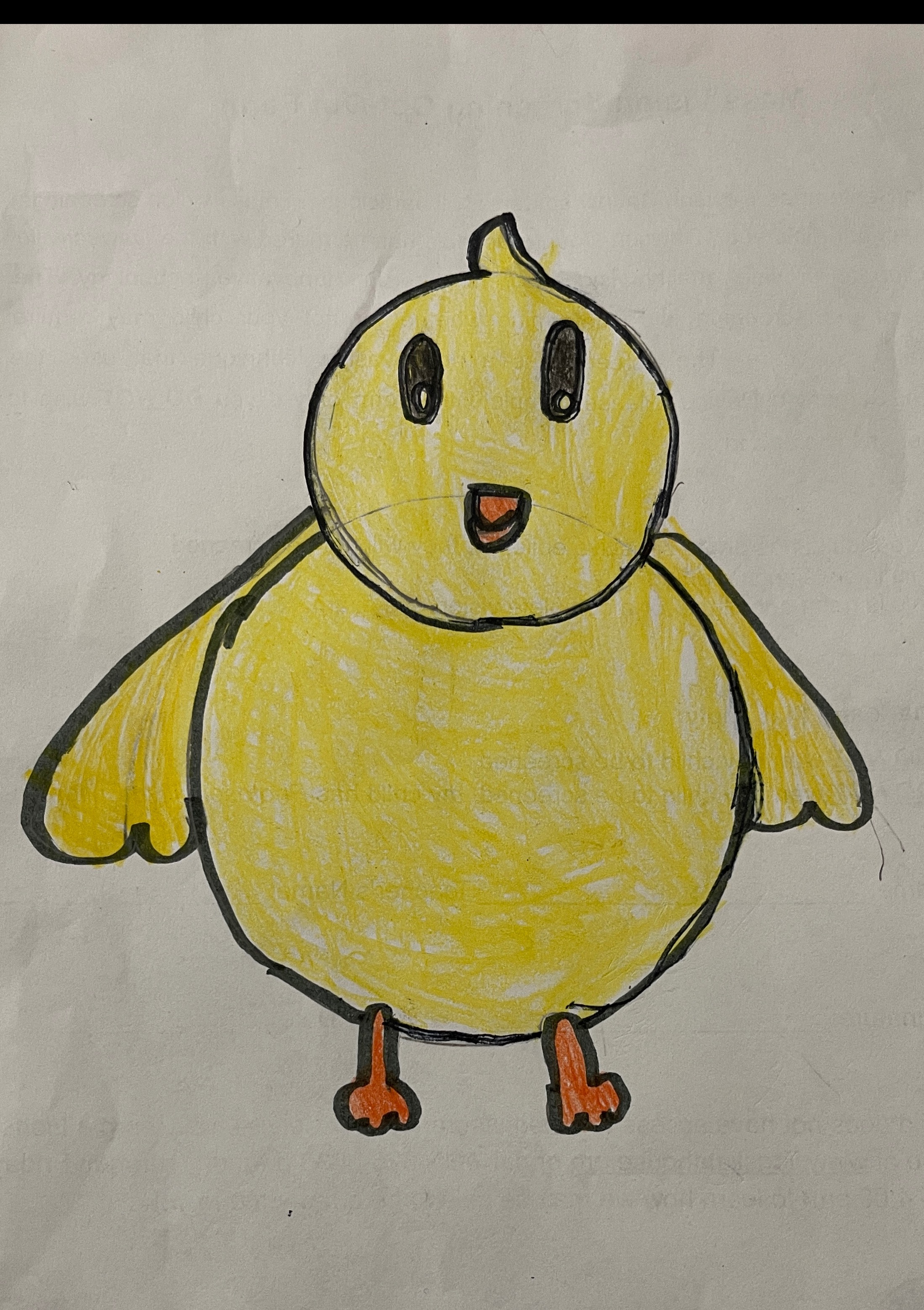 Ducky
